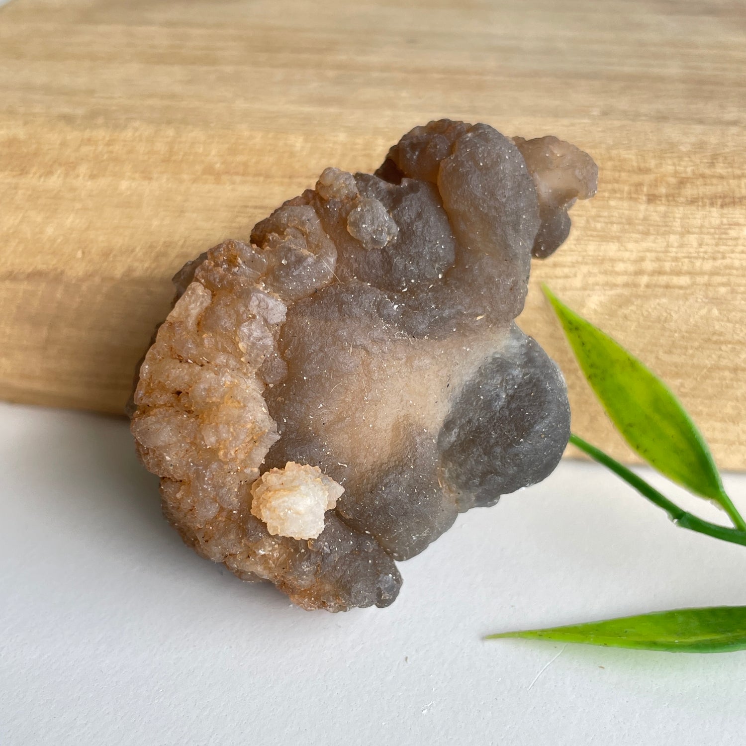 Chalcedony Nodule 48g