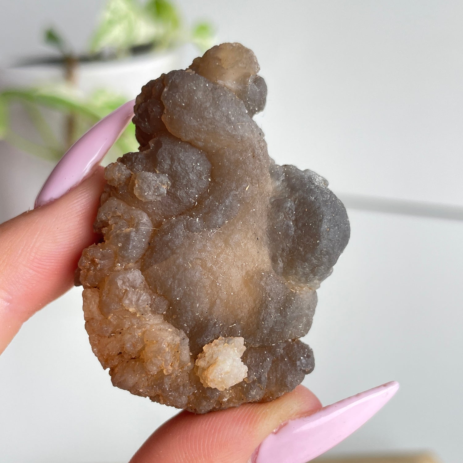 Chalcedony Nodule 48g