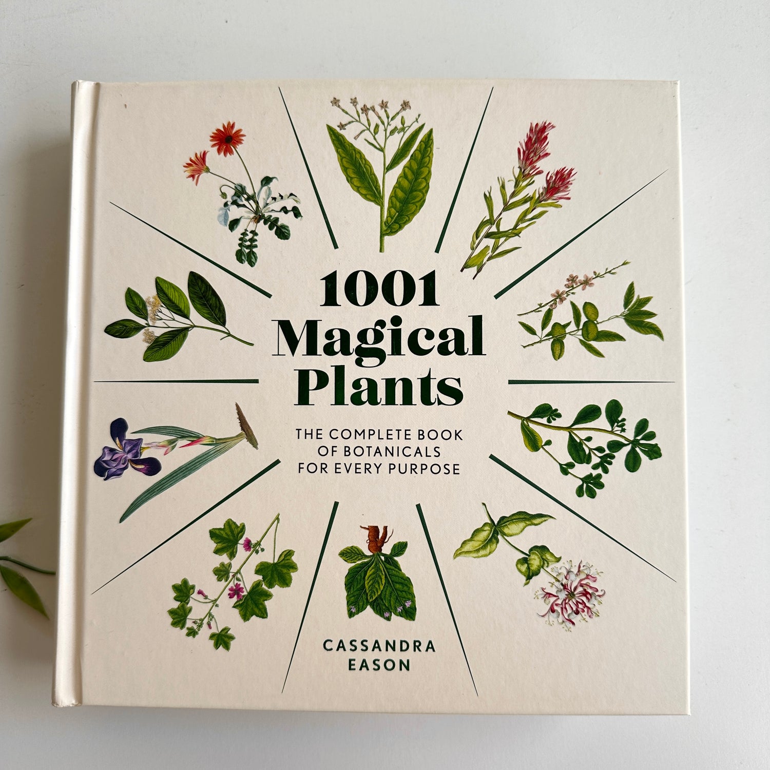 1001 Magical Plants Cassandra Eason