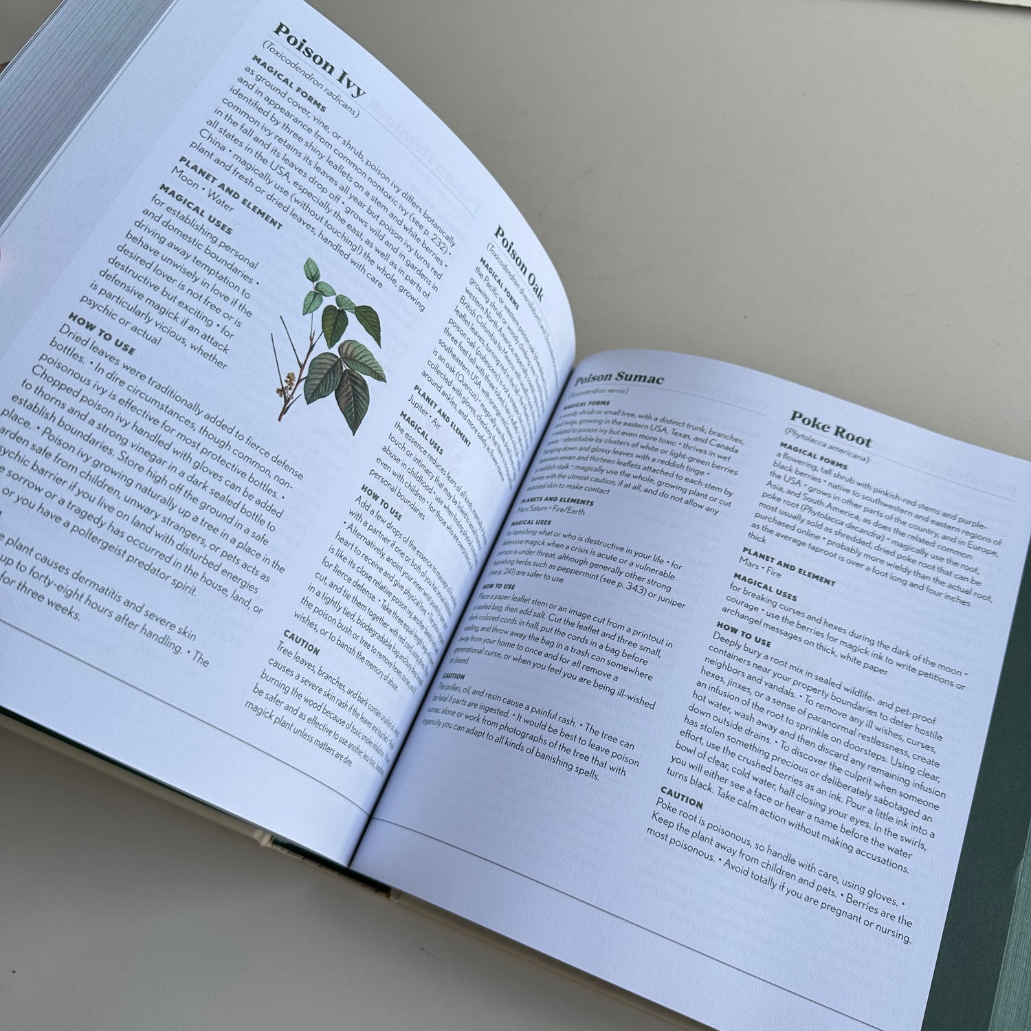 1001 Magical Plants Cassandra Eason