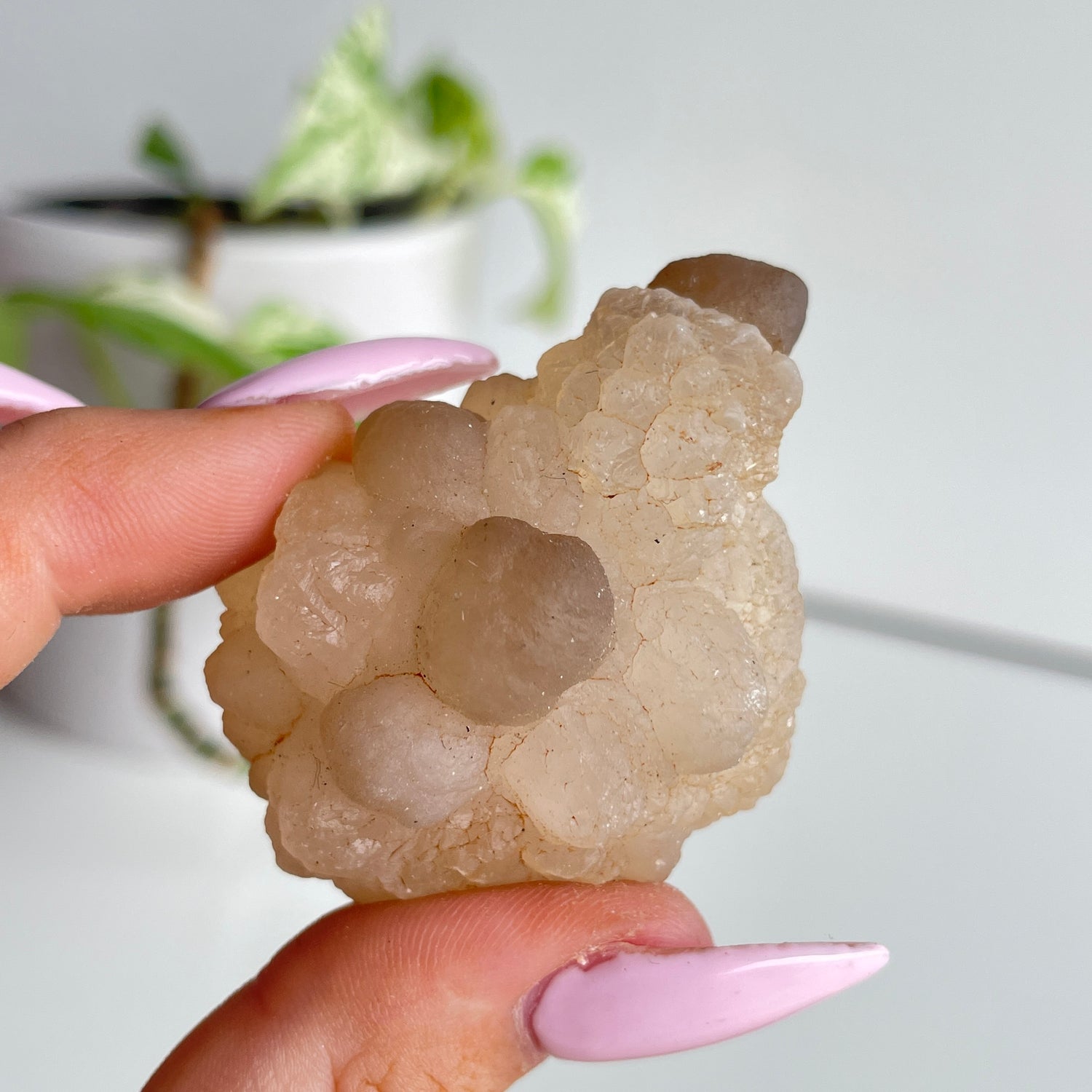 Chalcedony Nodule 50g