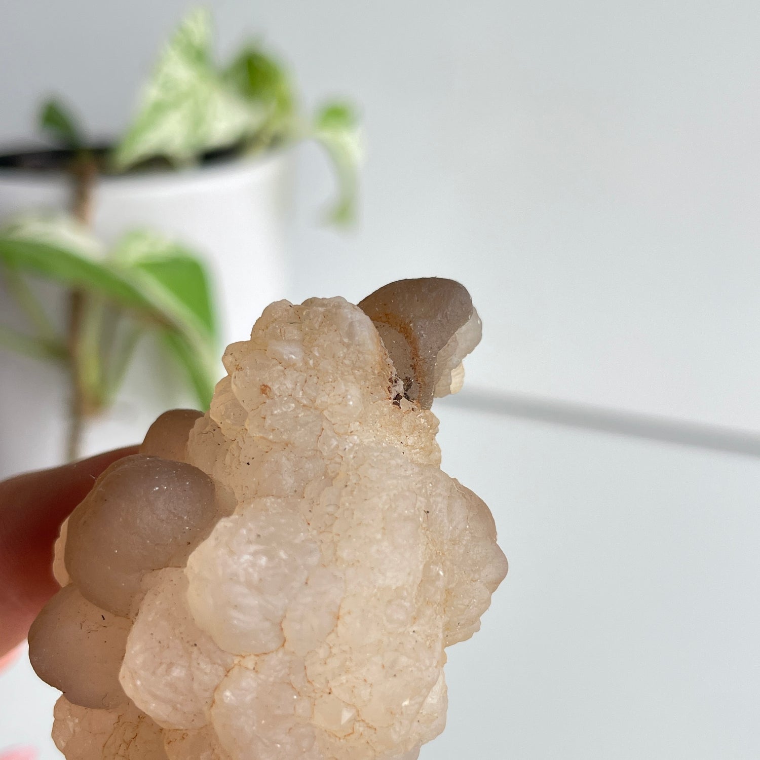 Chalcedony Nodule 50g