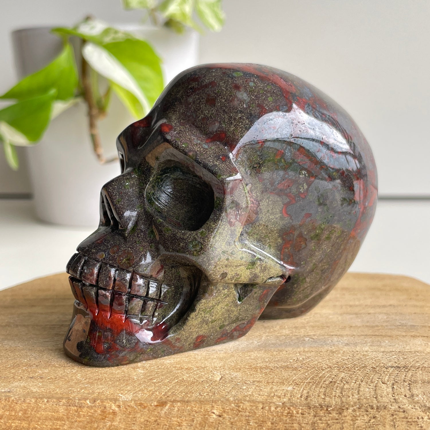 Dragon Blood Skull 9.3cm