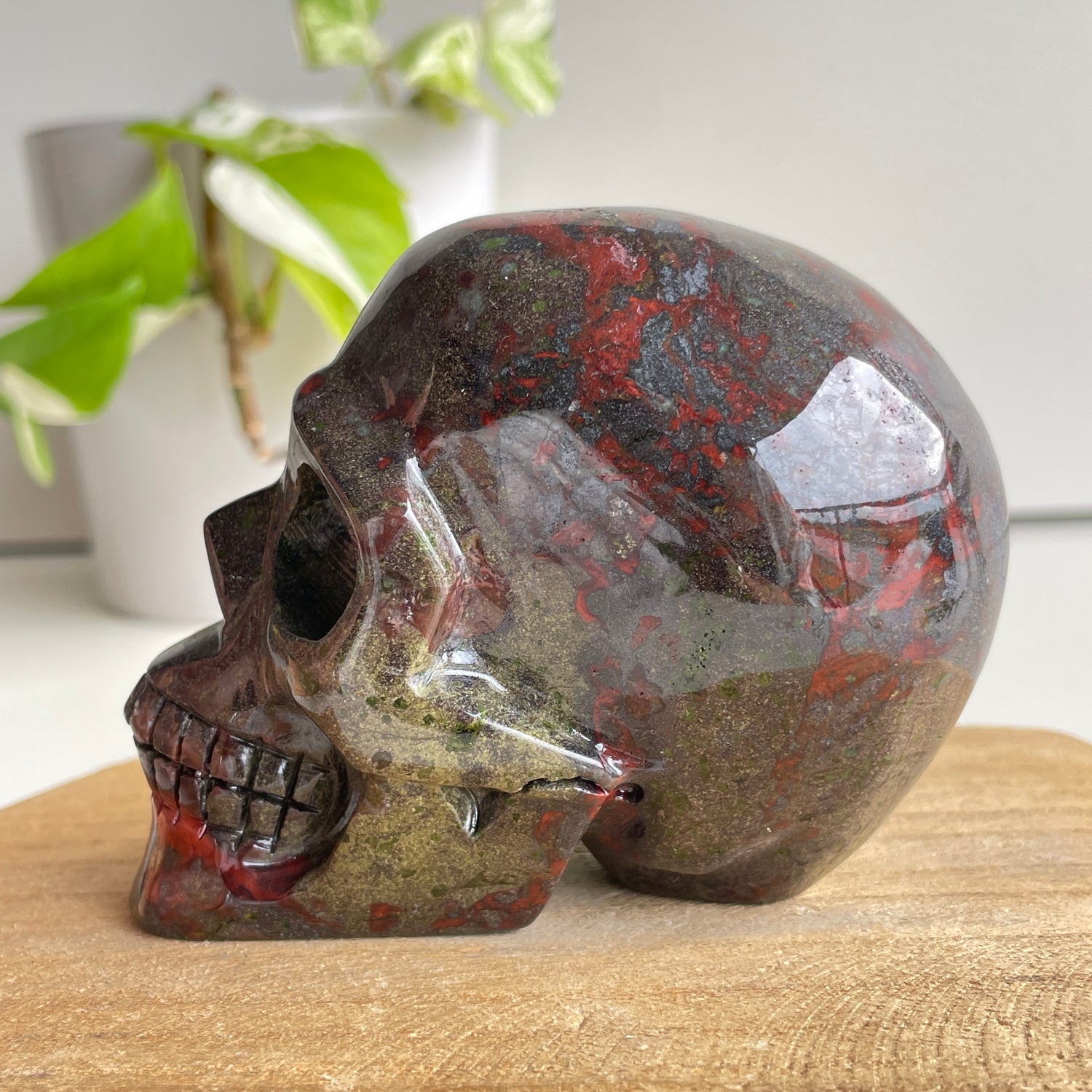 Dragon Blood Skull 9.3cm