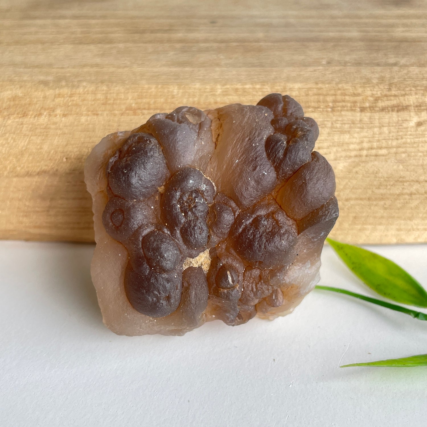 Chalcedony Nodule 54g