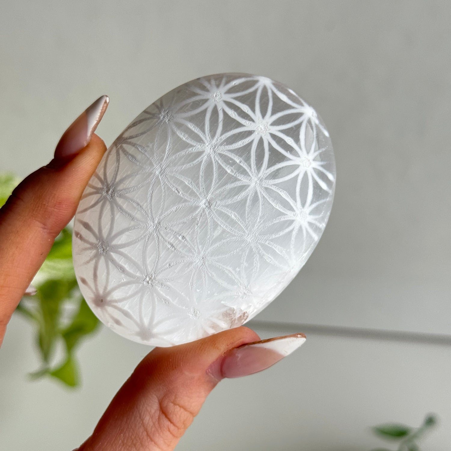Selenite Flower Of Life Palm Stone