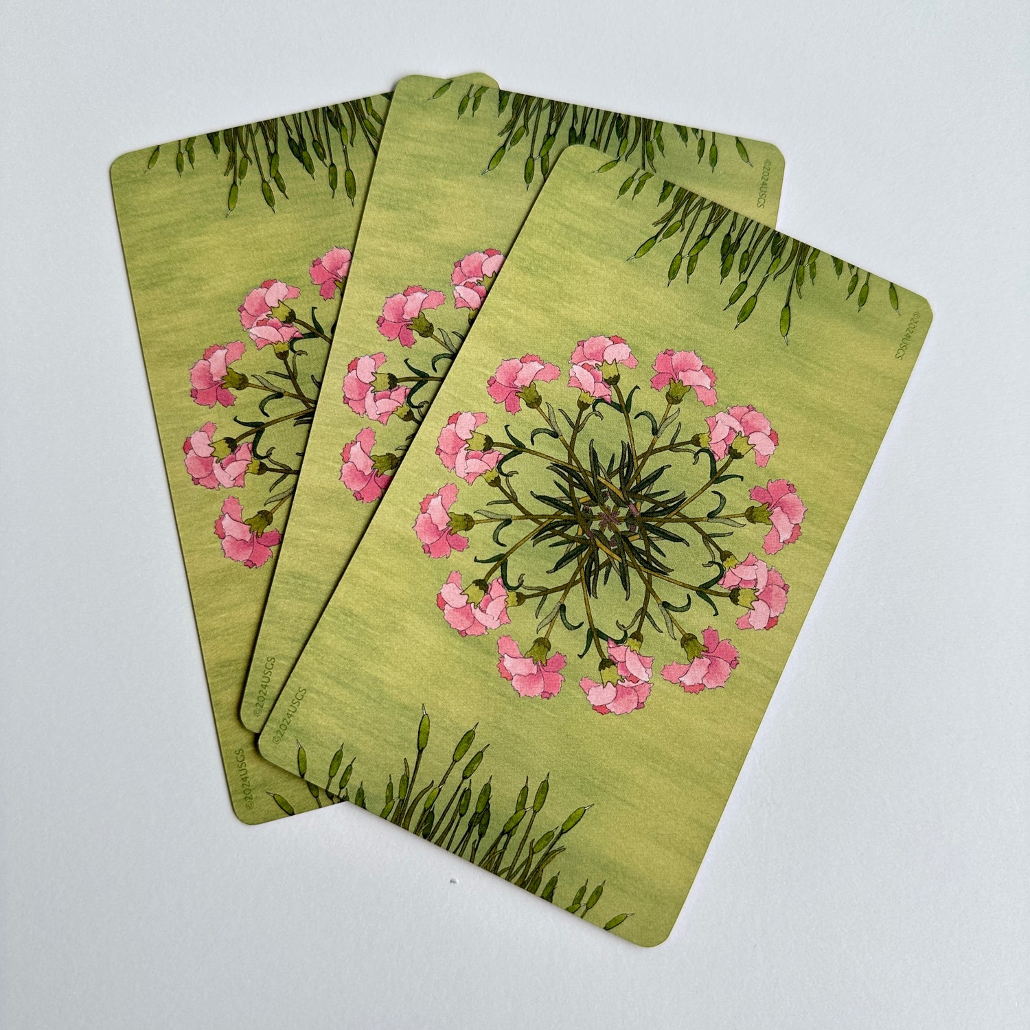 Wing Hoof And Paw Oracle Cards Angi Sullins