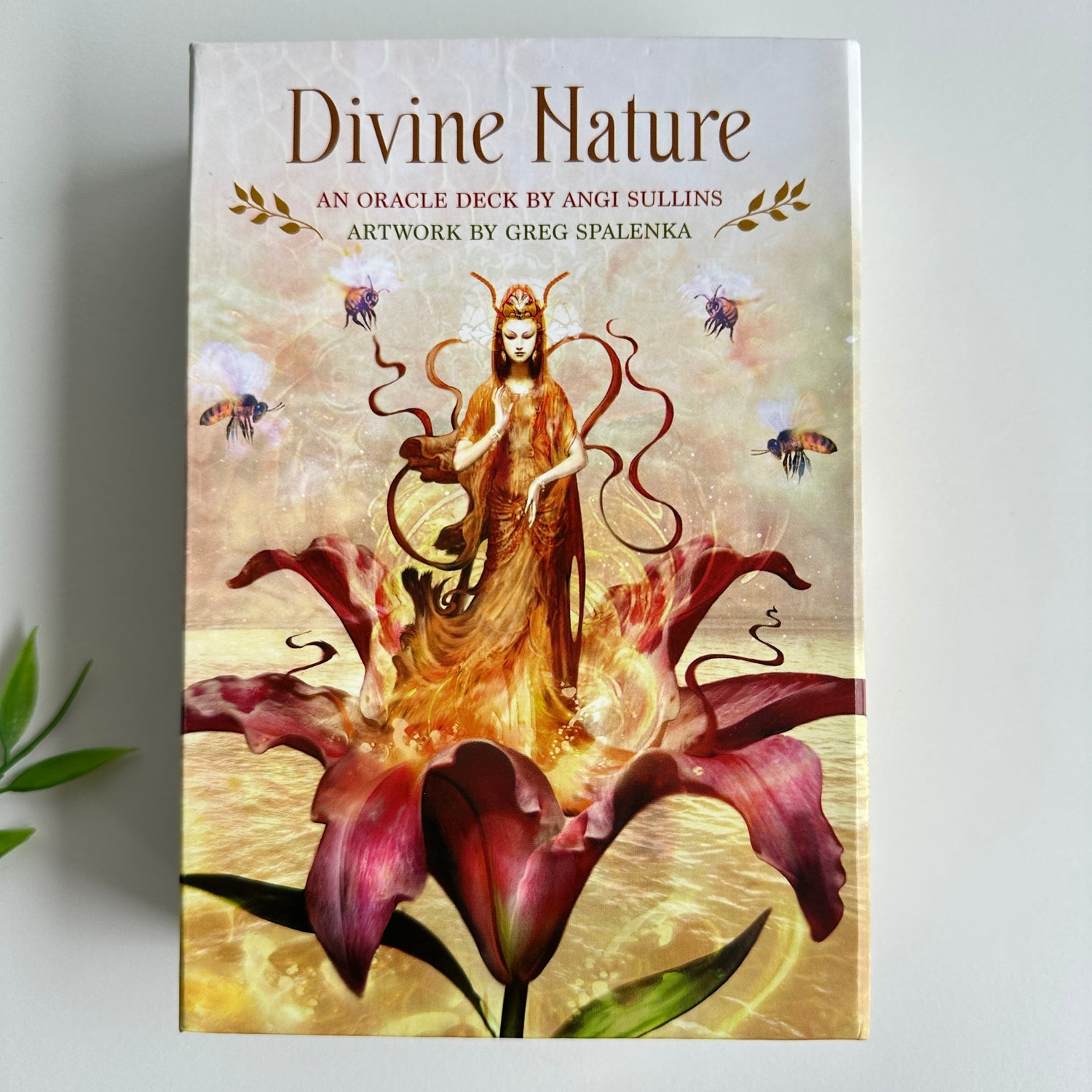 Divine Nature Oracle Cards Angi Sullins