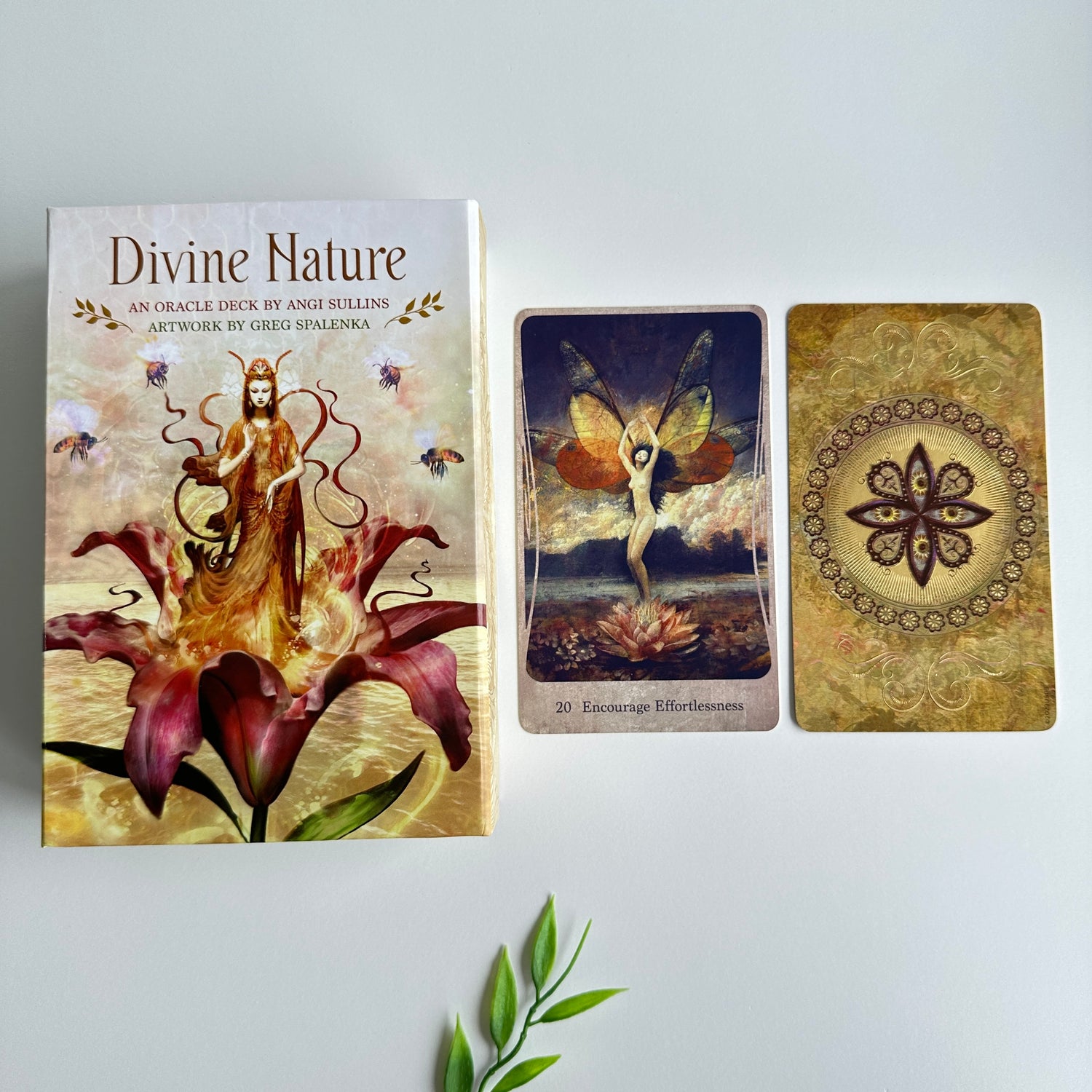 Divine Nature Oracle Cards Angi Sullins