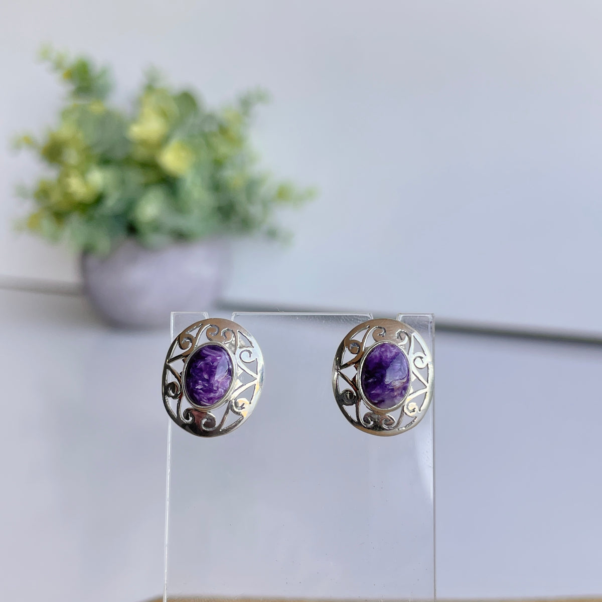 Charorite Round Stud Earrings