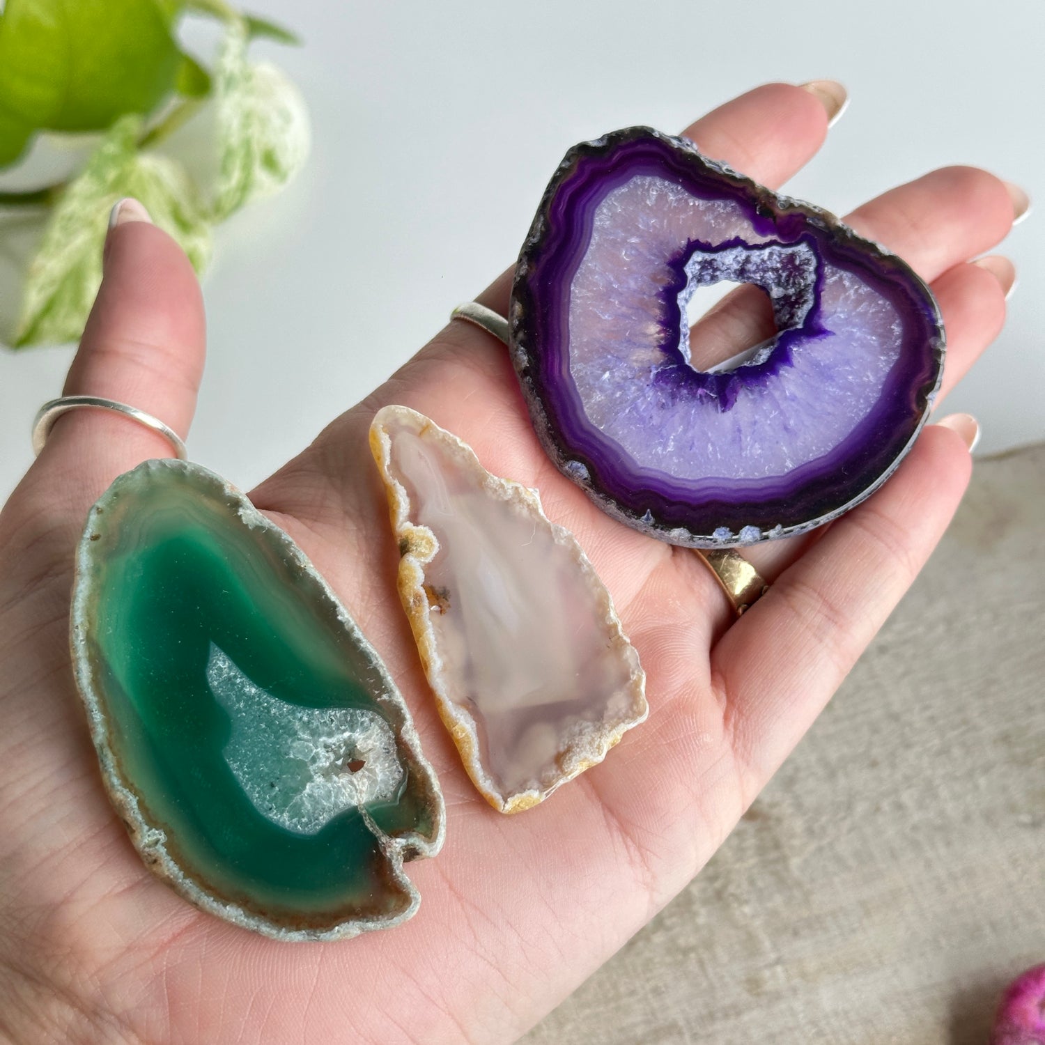 Agate Slice AGATESC