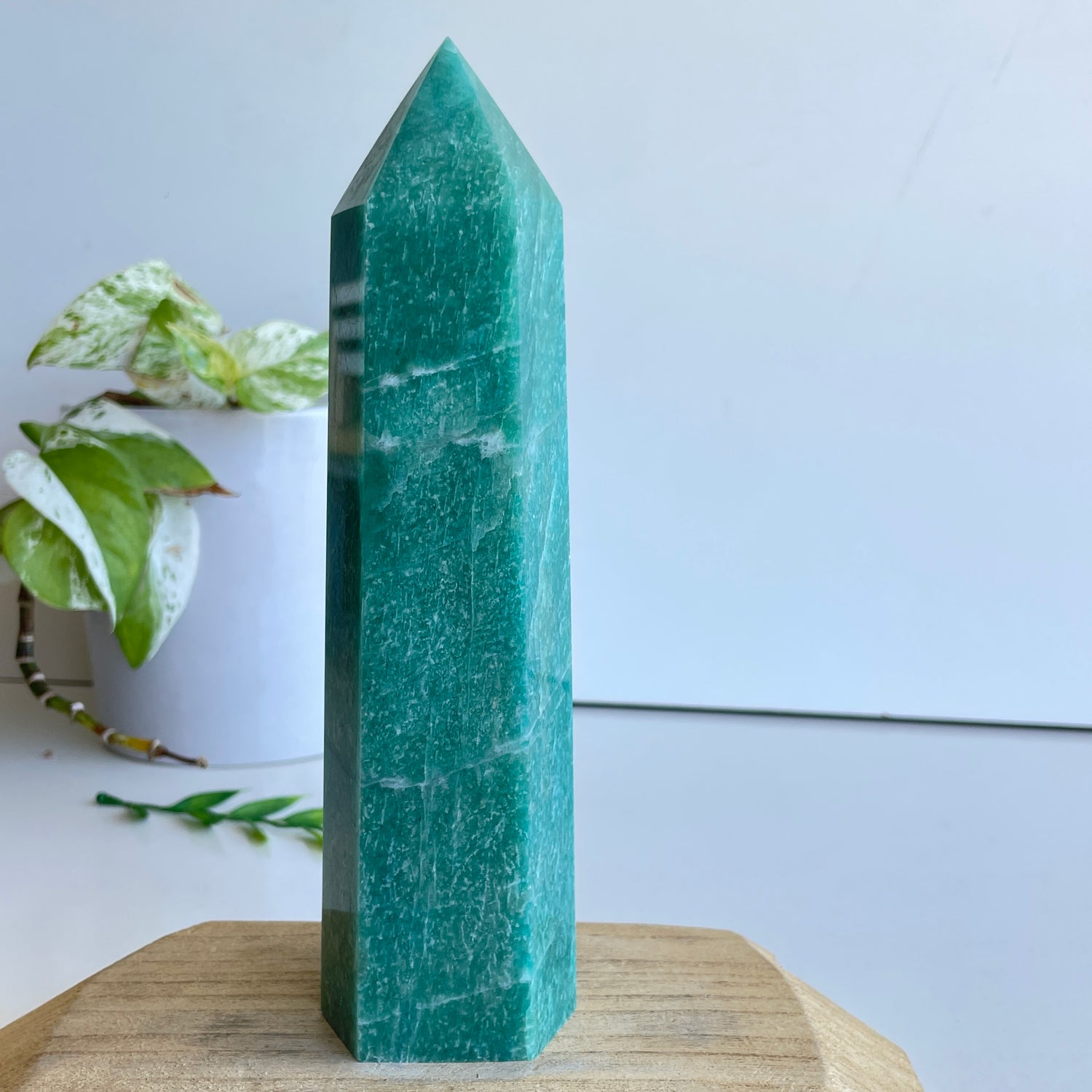 Amazonite Generator 19.4cm