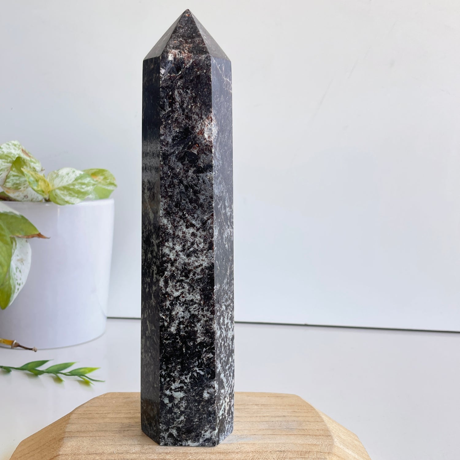 Astrophyllite Generator 23.6cm