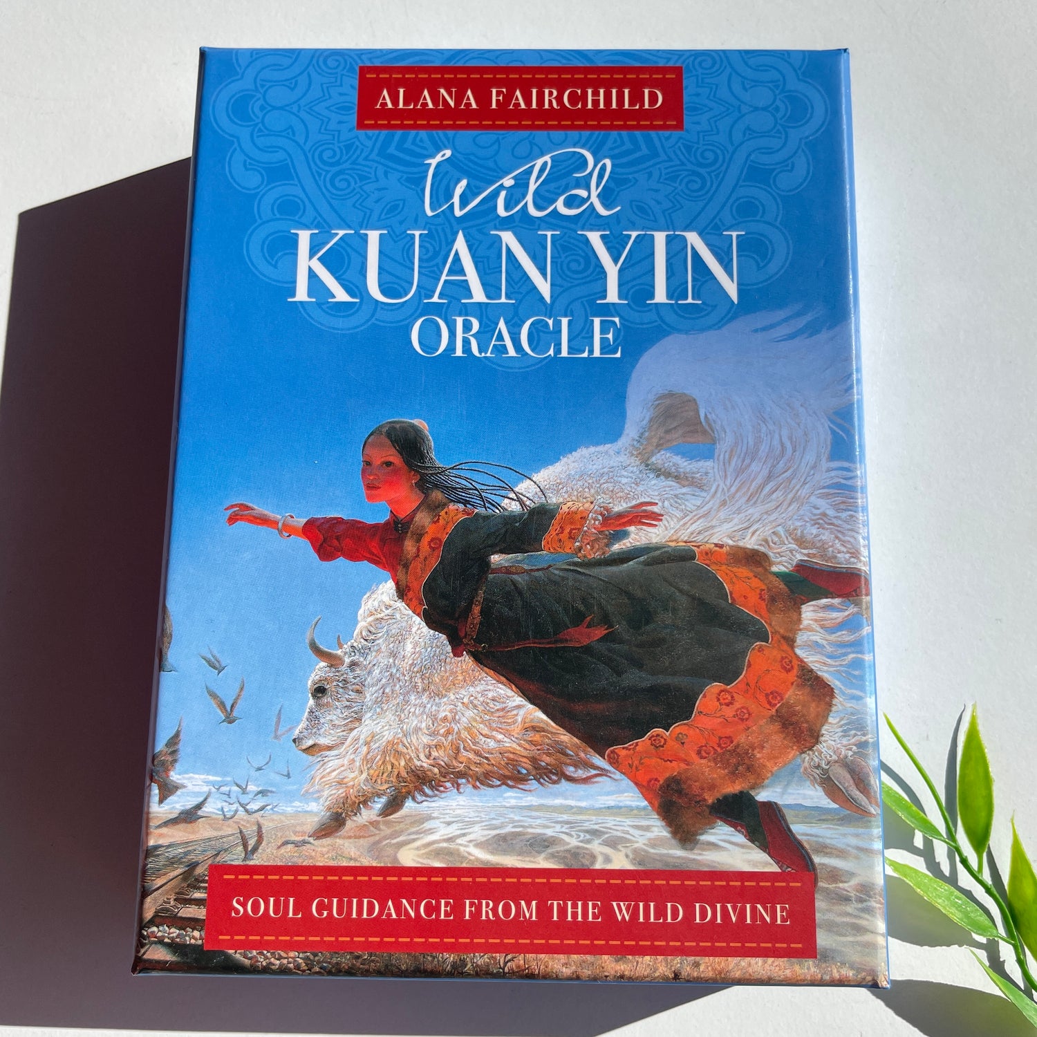 Wild Kuan Yin Oracle Cards