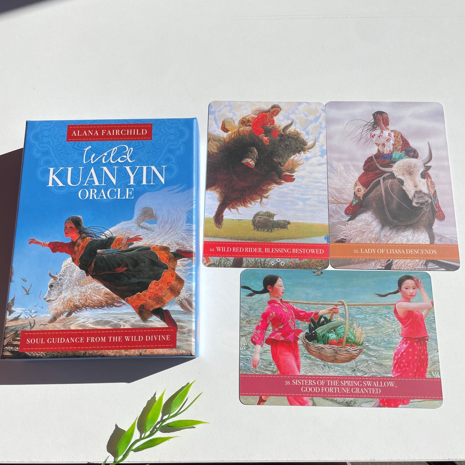 Wild Kuan Yin Oracle Cards