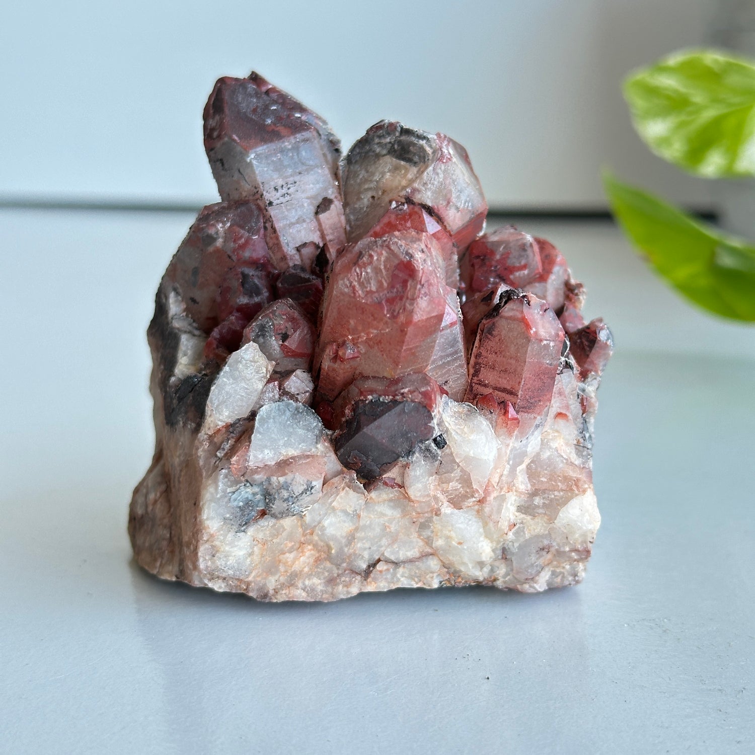 Brazilian Red Dragon Lemurian Cluster 300g