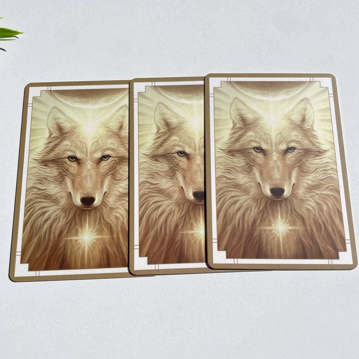 White Light Oracle Cards Alana Fairchild Pocket Size