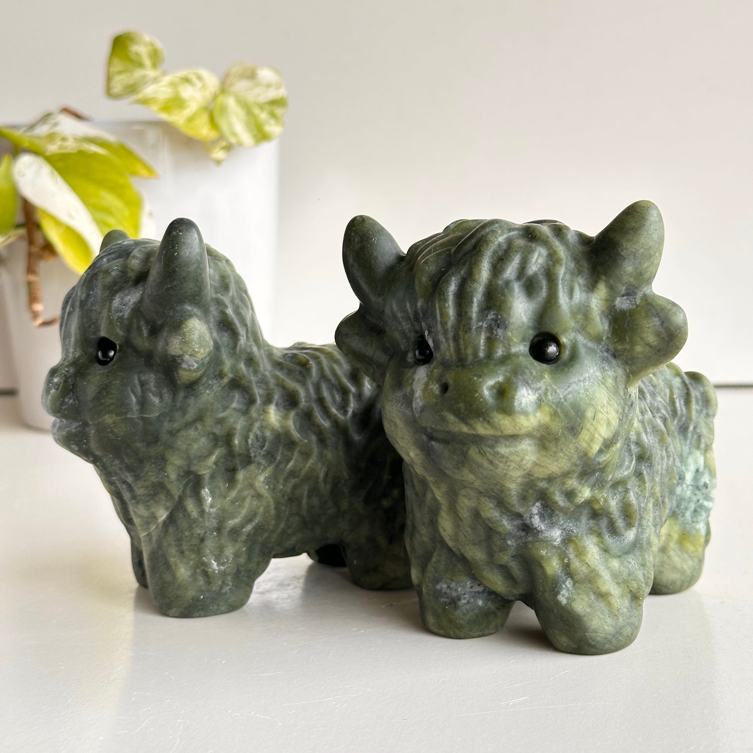 Serpentine Highland Cow
