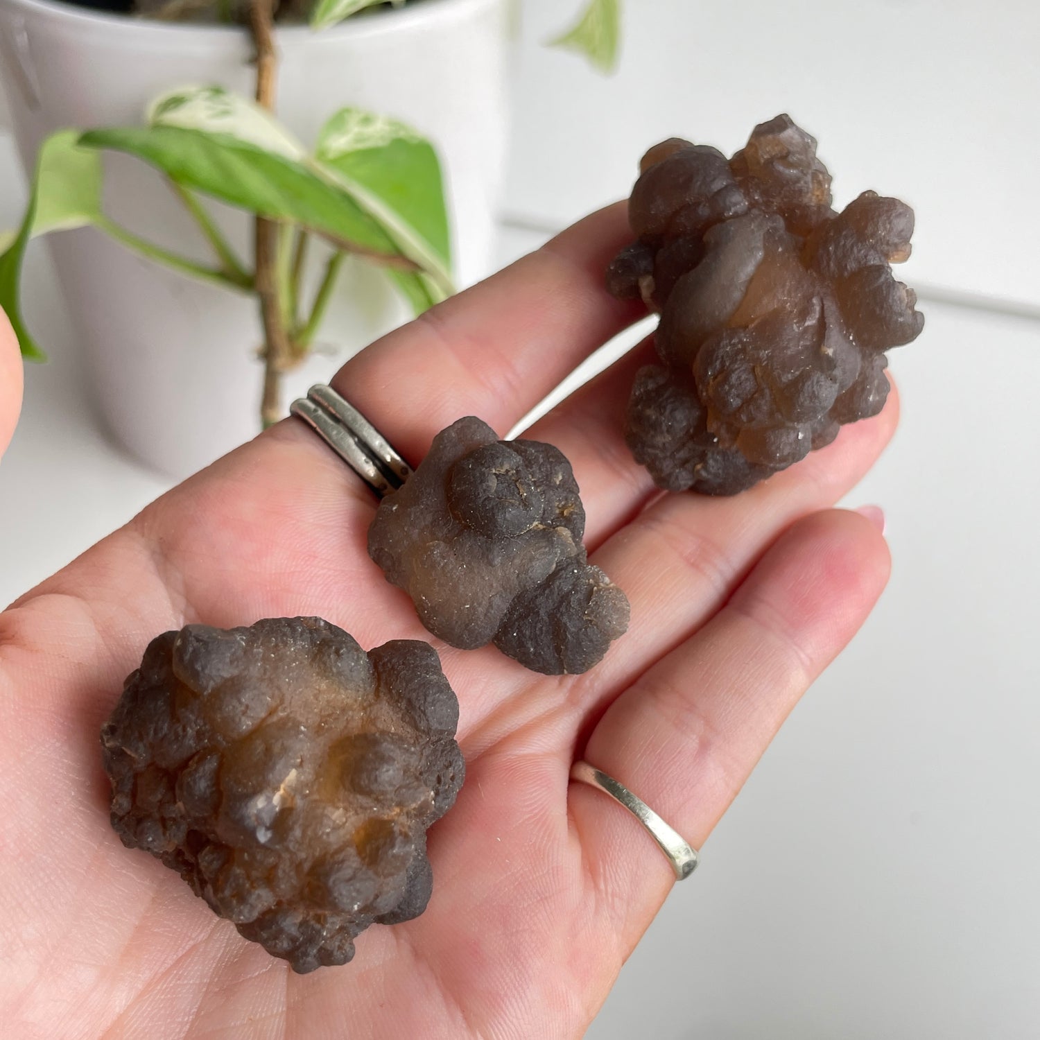 Chalcedony Nodule