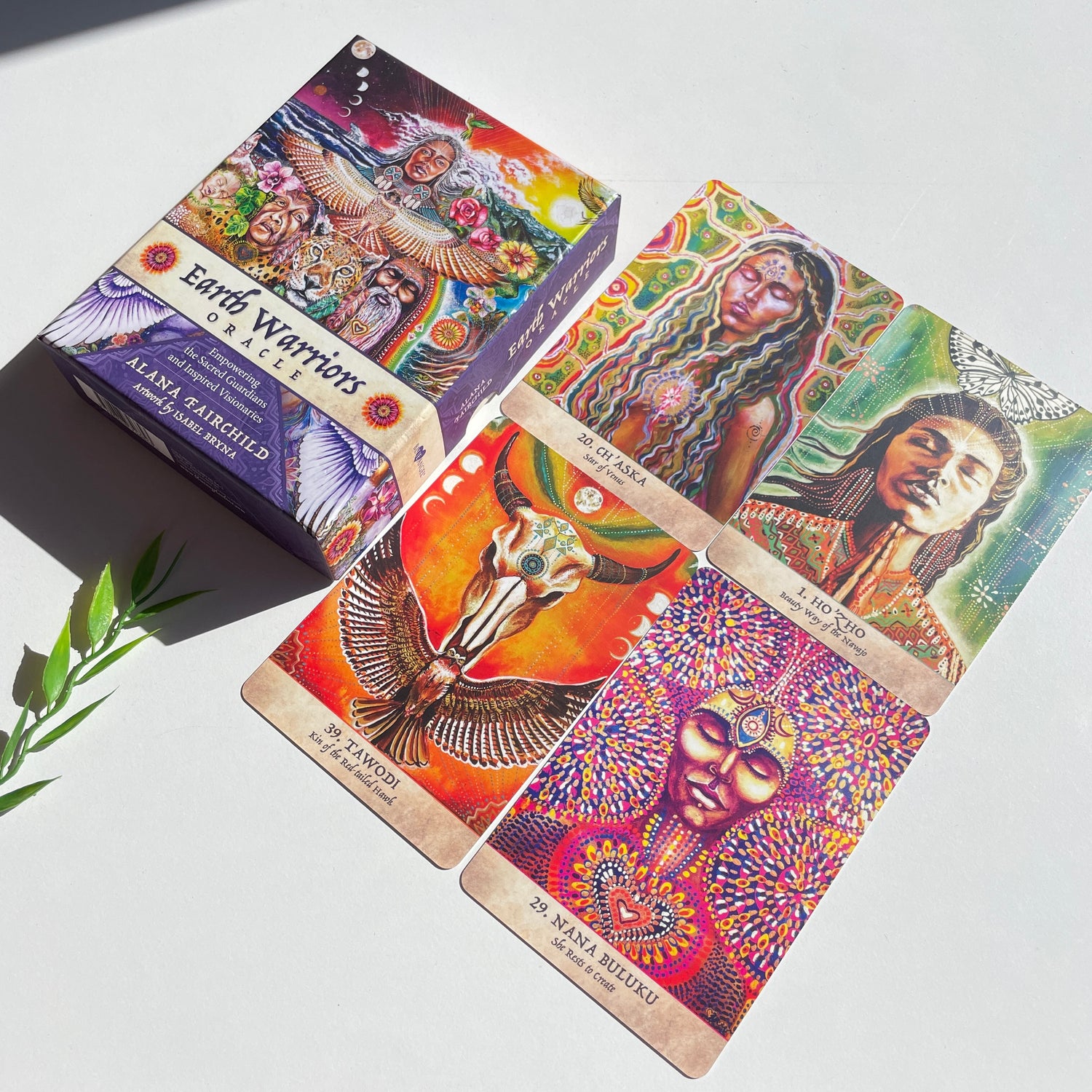 Earth Warriors Oracle Cards Alana Fairchild