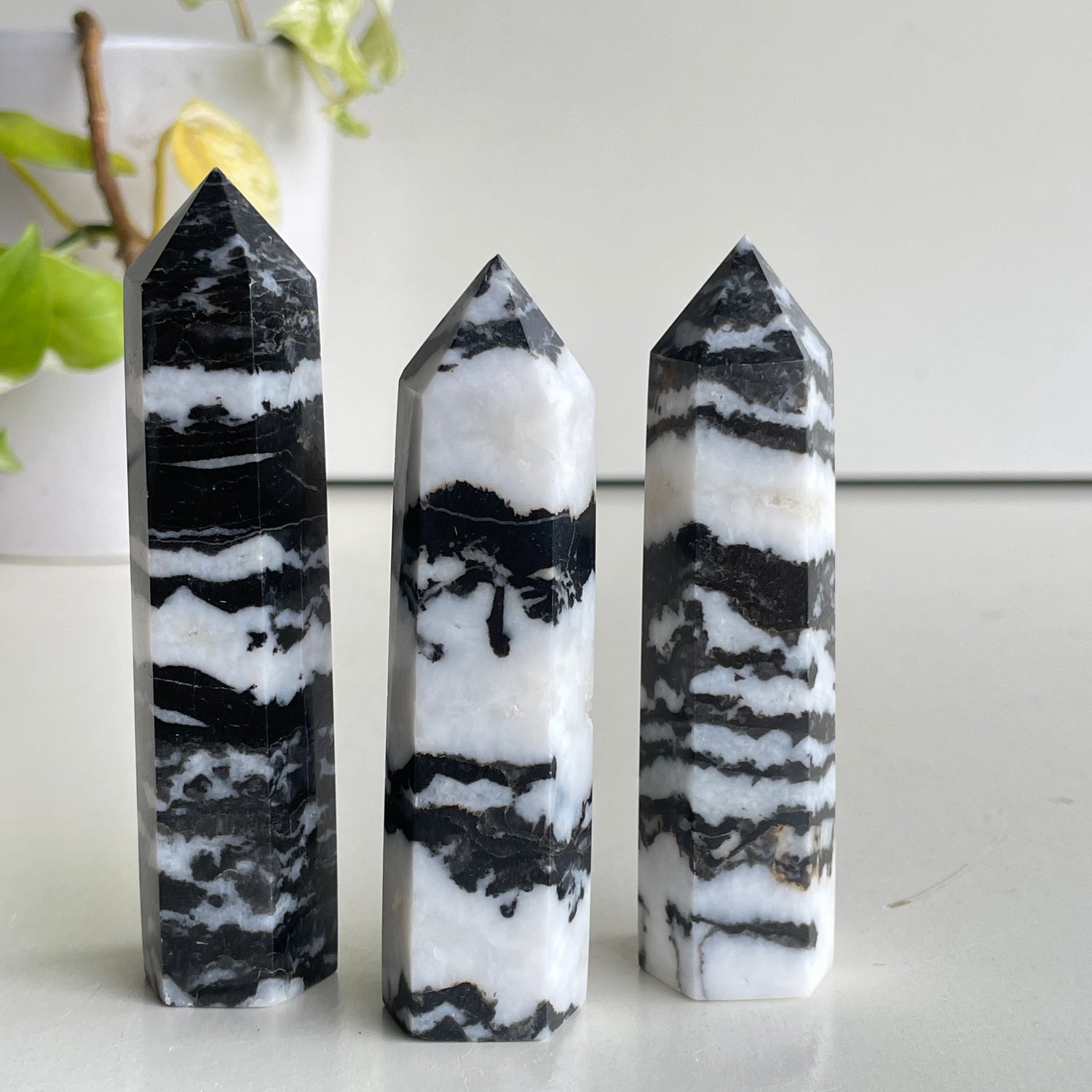 Zebra Jasper Generator