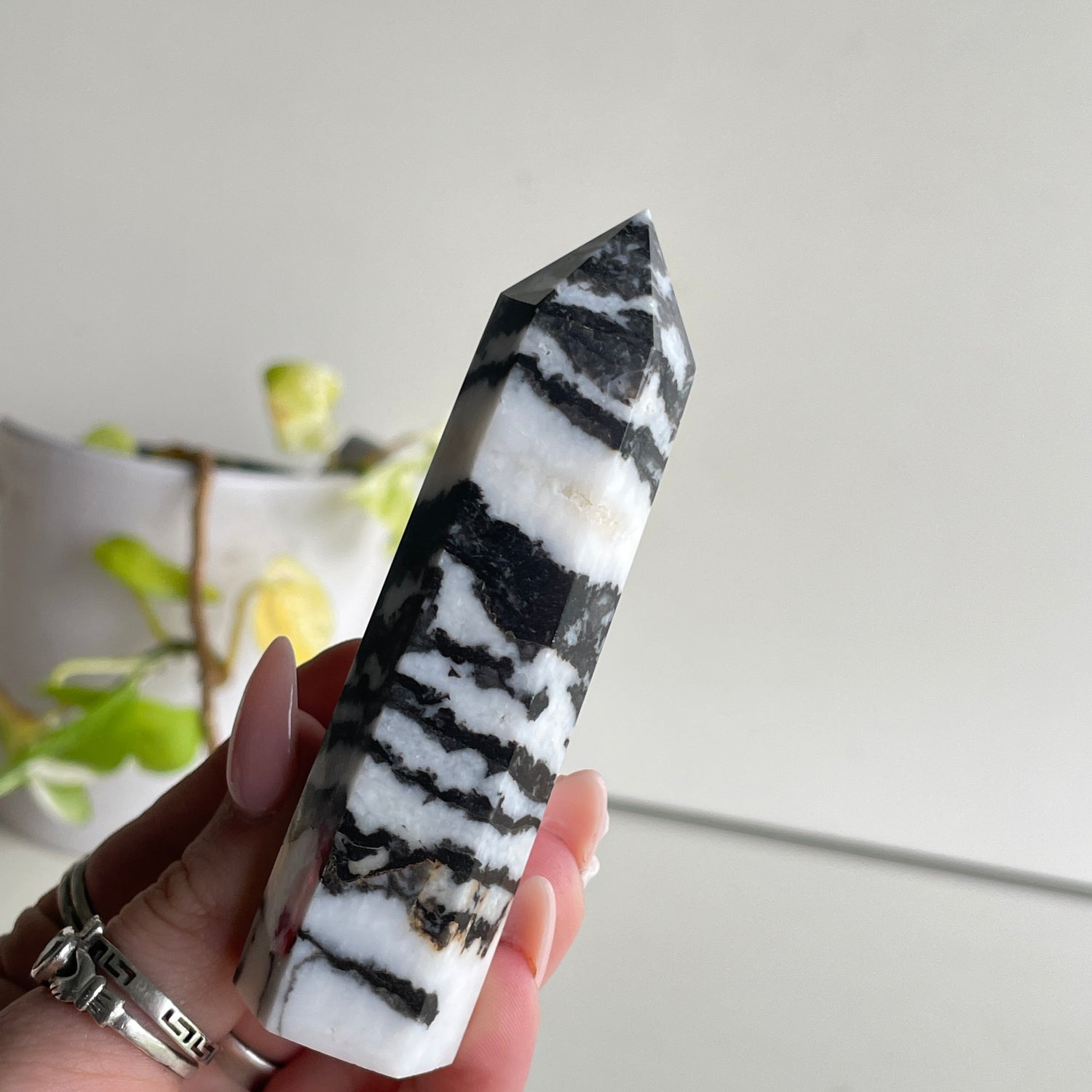 Zebra Jasper Generator
