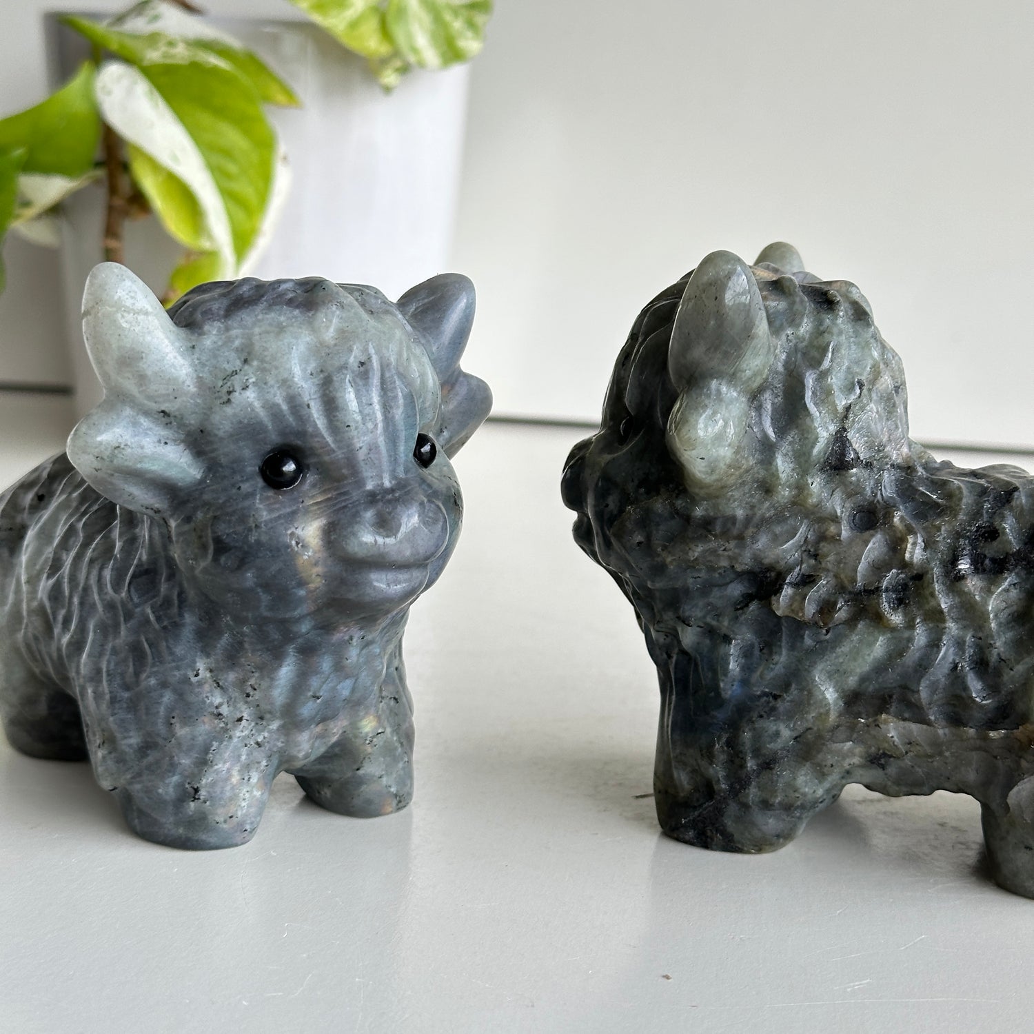 Labradorite Highland Cow
