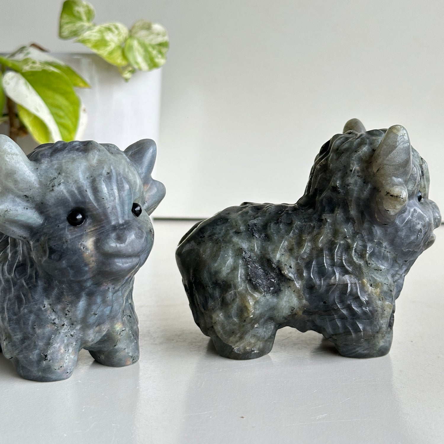 Labradorite Highland Cow