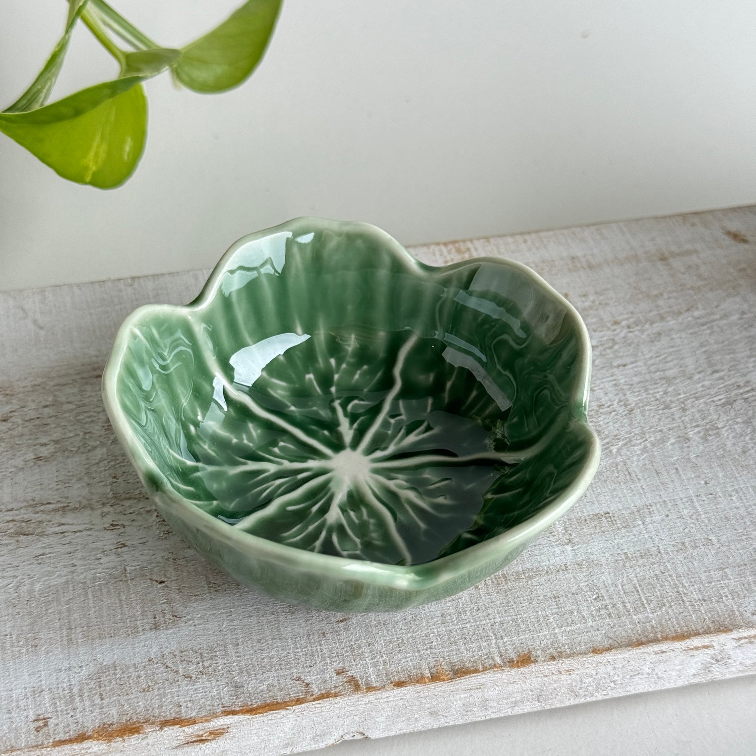 Green Cabbage Bowl KW2301