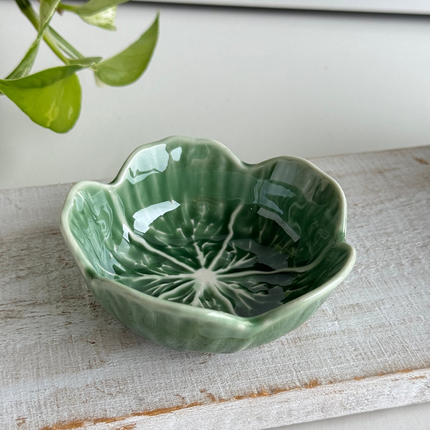 Green Cabbage Bowl KW2301