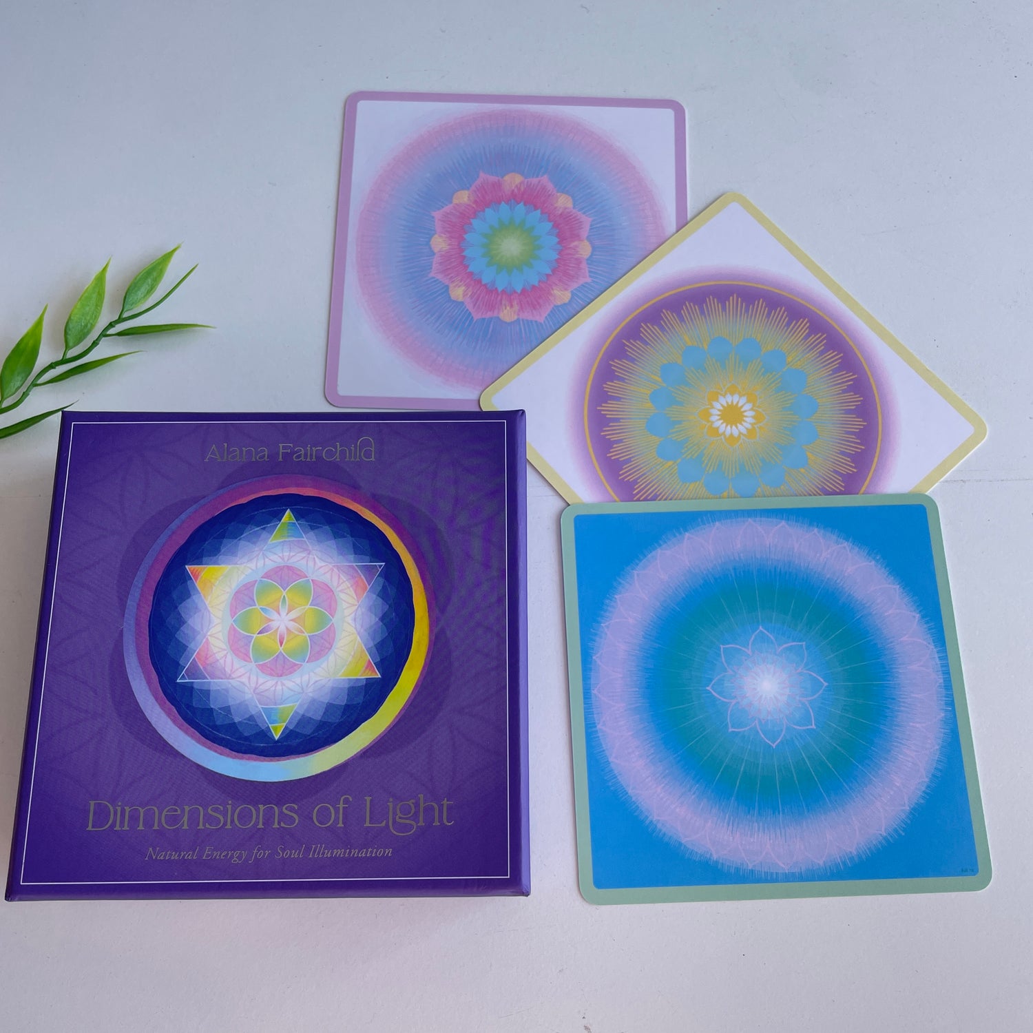 Dimensions Of Light Cards Alana Fairchild