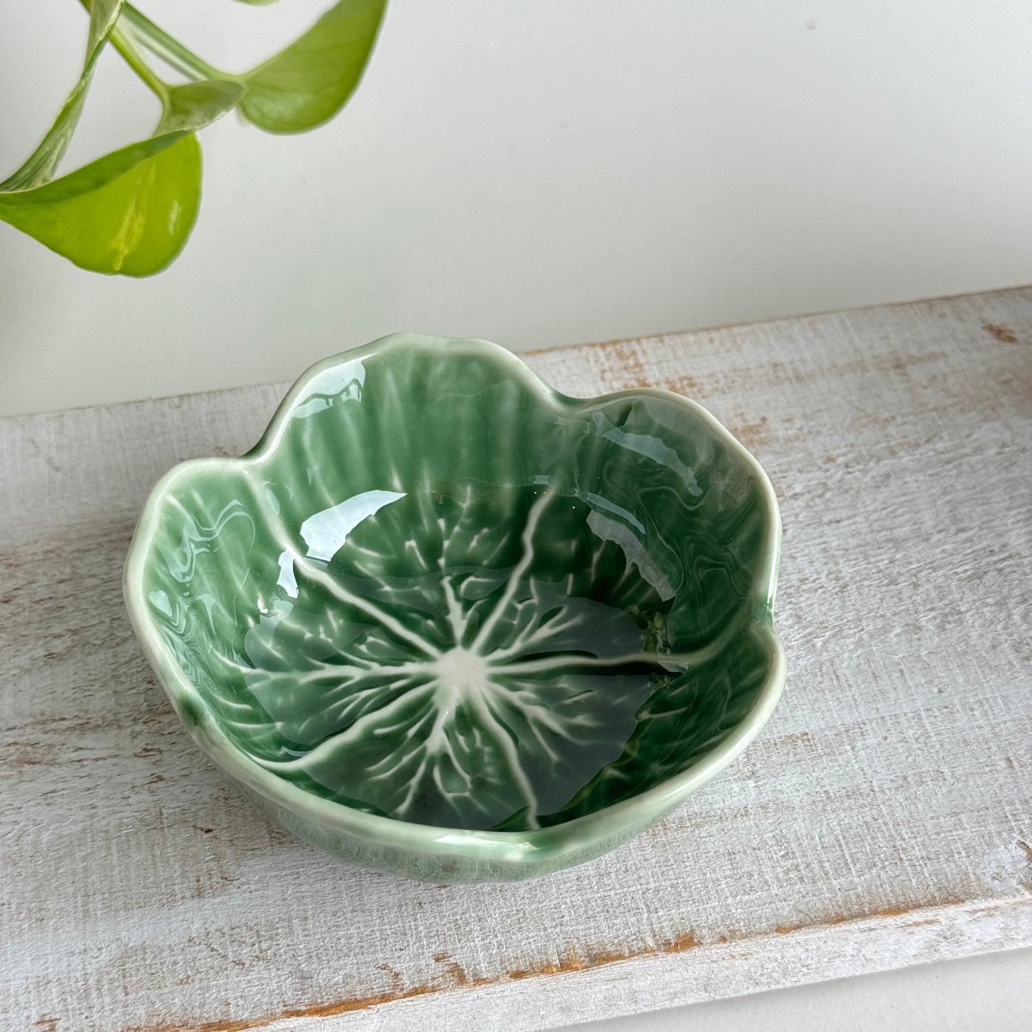 Green Cabbage Bowl KW2301