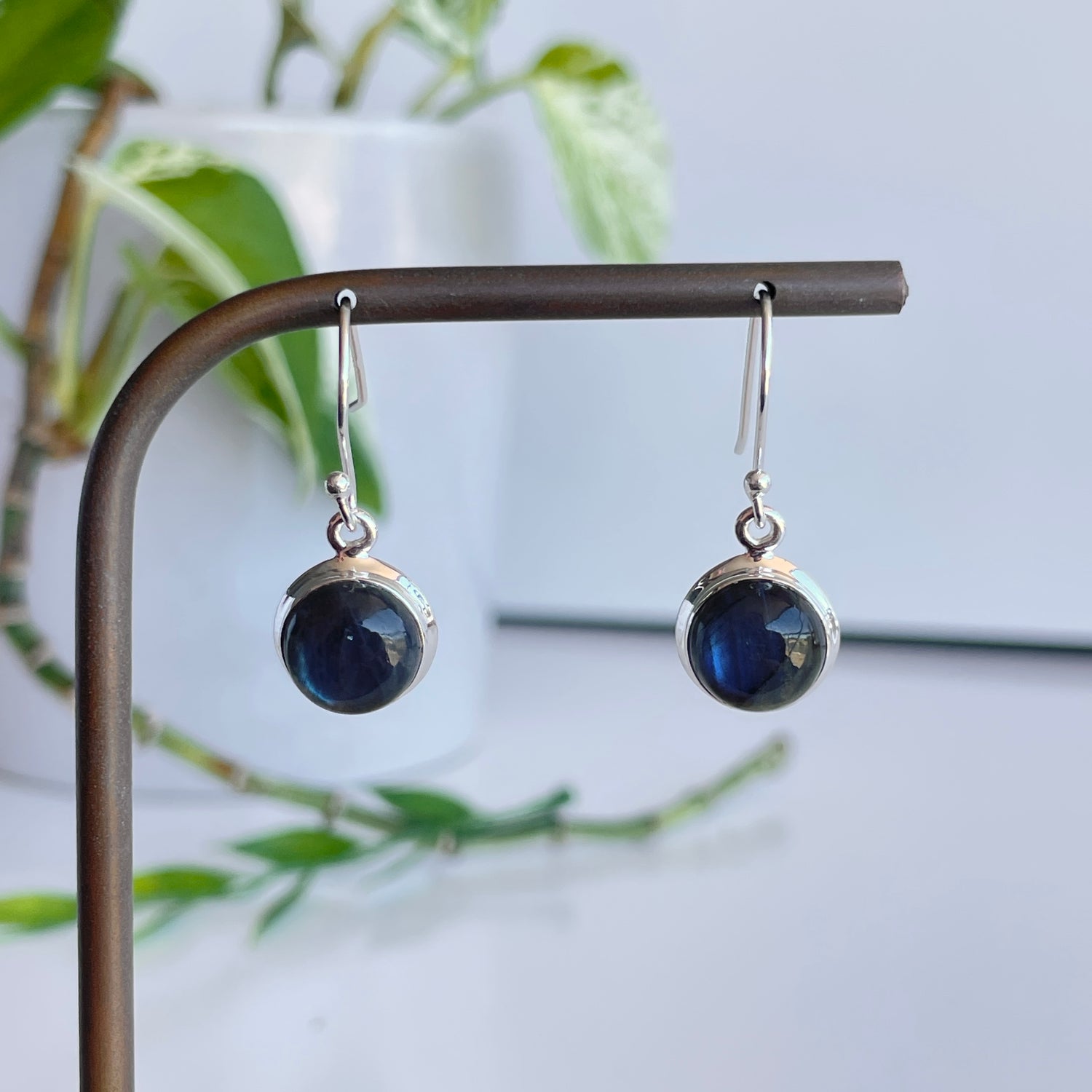 Labradorite Round Earrings