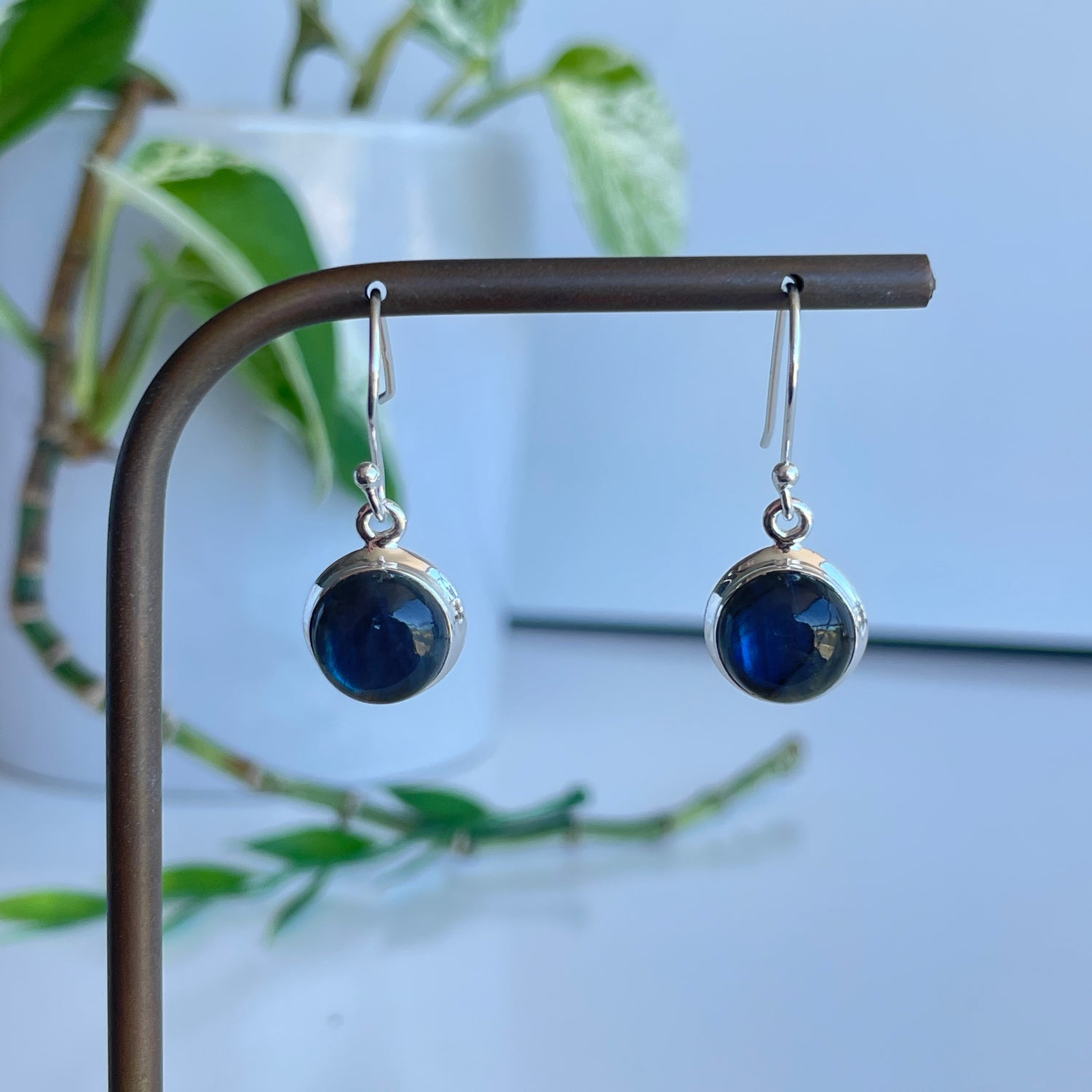 Labradorite Round Earrings