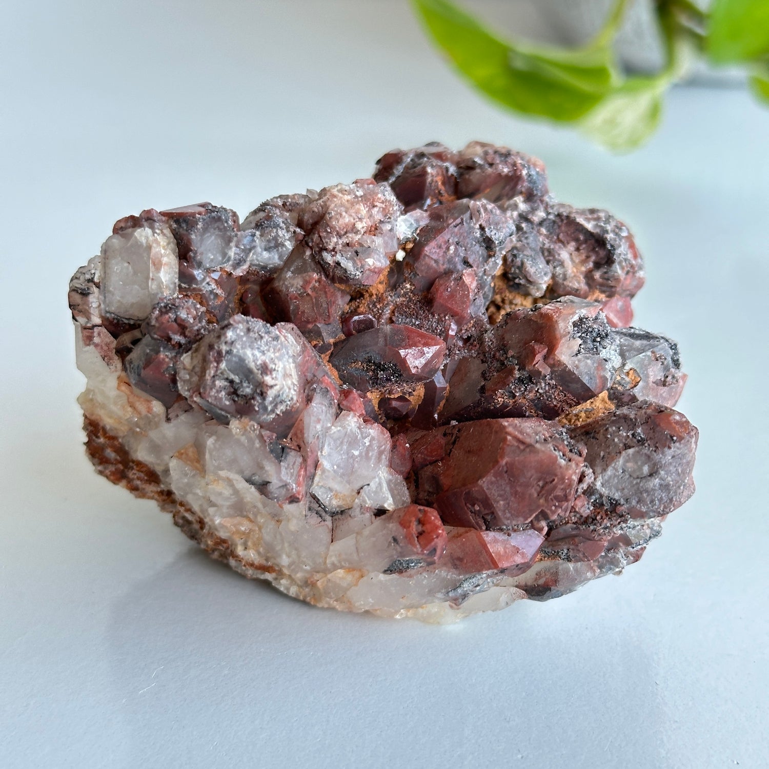 Brazilian Red Dragon Lemurian Cluster 288g