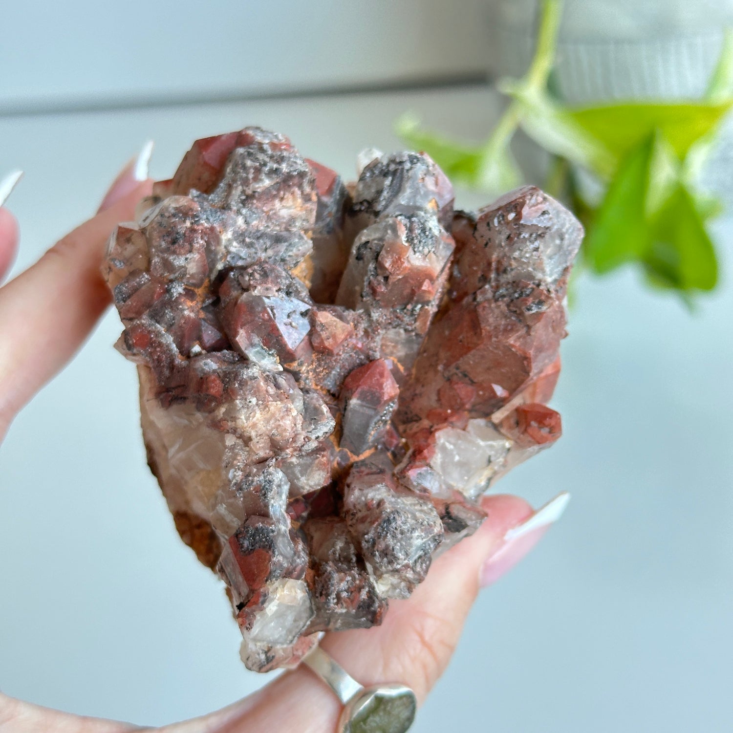 Brazilian Red Dragon Lemurian Cluster 288g