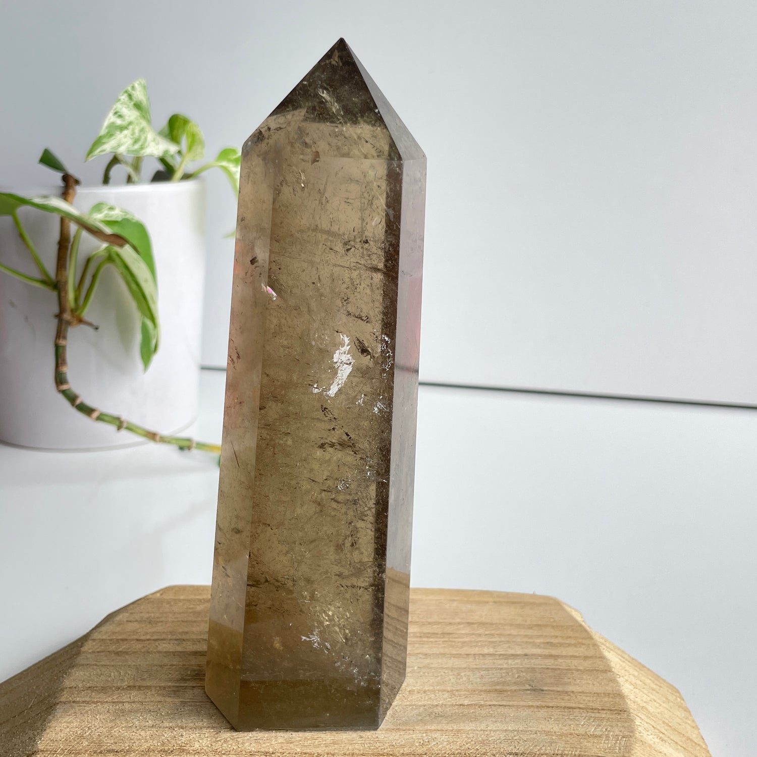 Smoky Quartz Generator 17.1cm