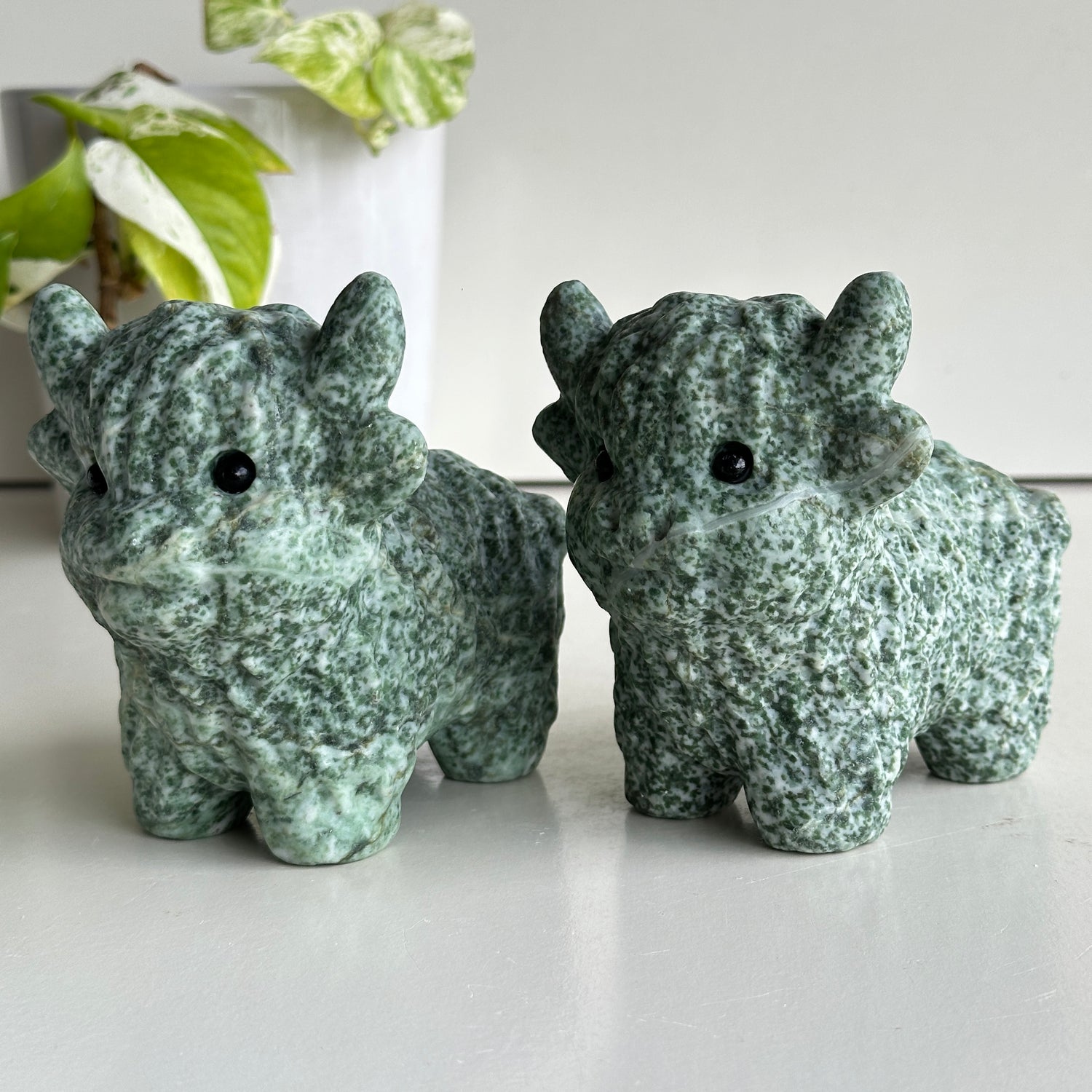 China Jade Highland Cow