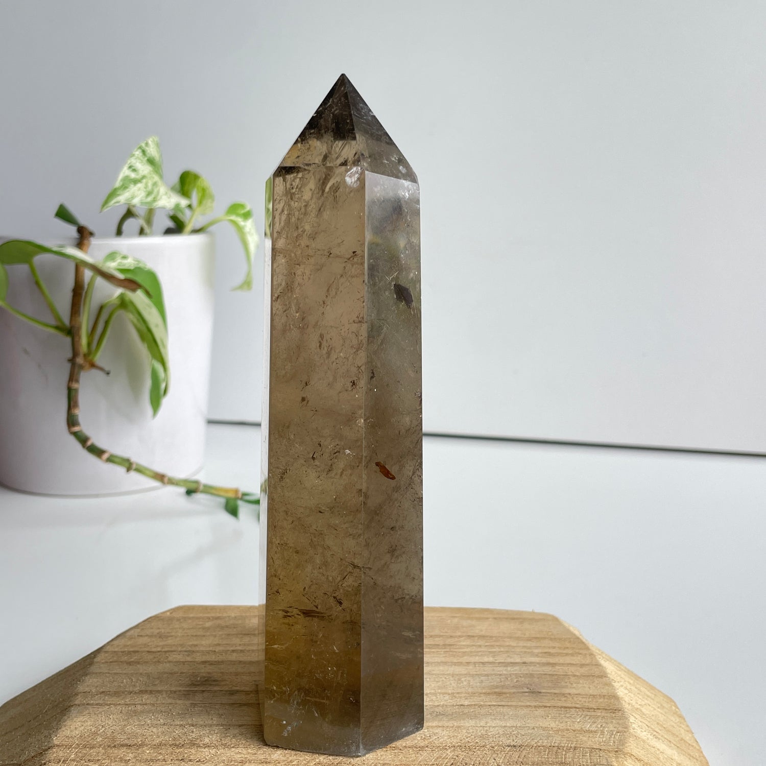 Smoky Quartz Generator 17.1cm