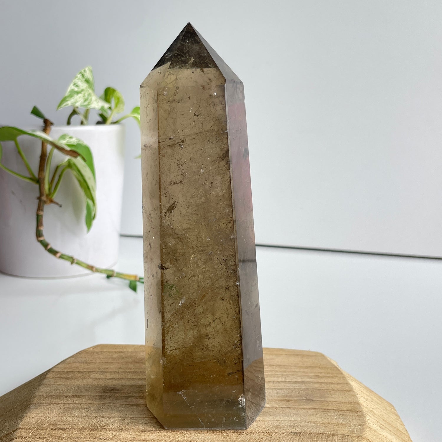 Smoky Quartz Generator 17.1cm
