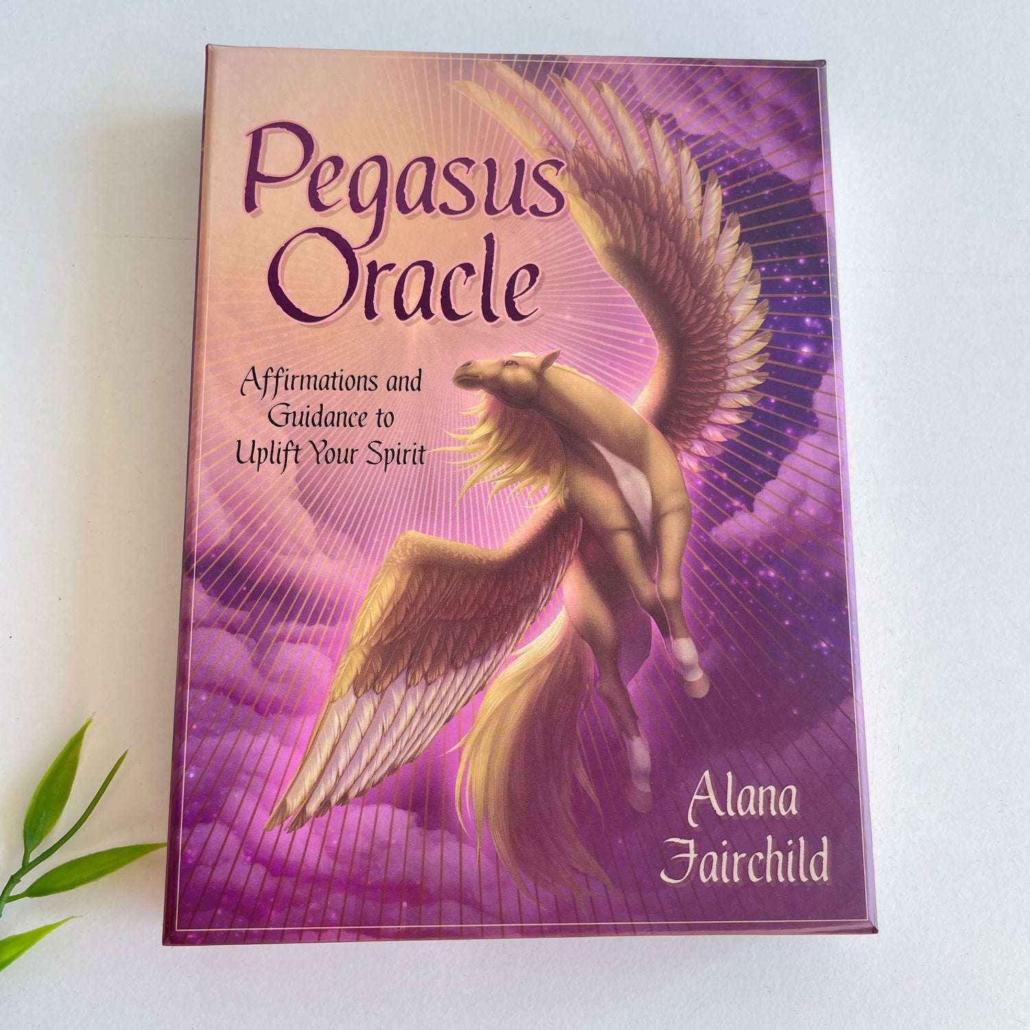 Pegasus Oracle Alana Fairchild