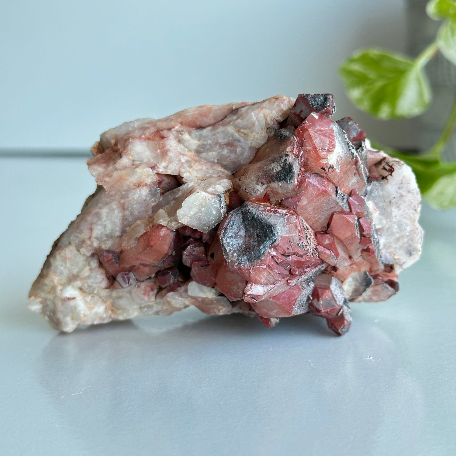 Brazilian Red Dragon Lemurian Cluster 290g
