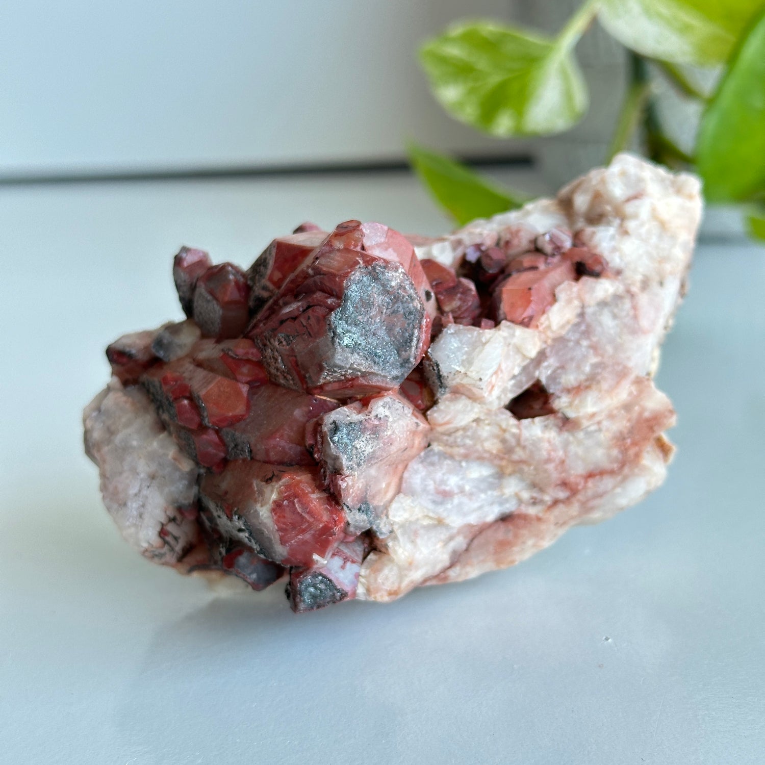 Brazilian Red Dragon Lemurian Cluster 290g