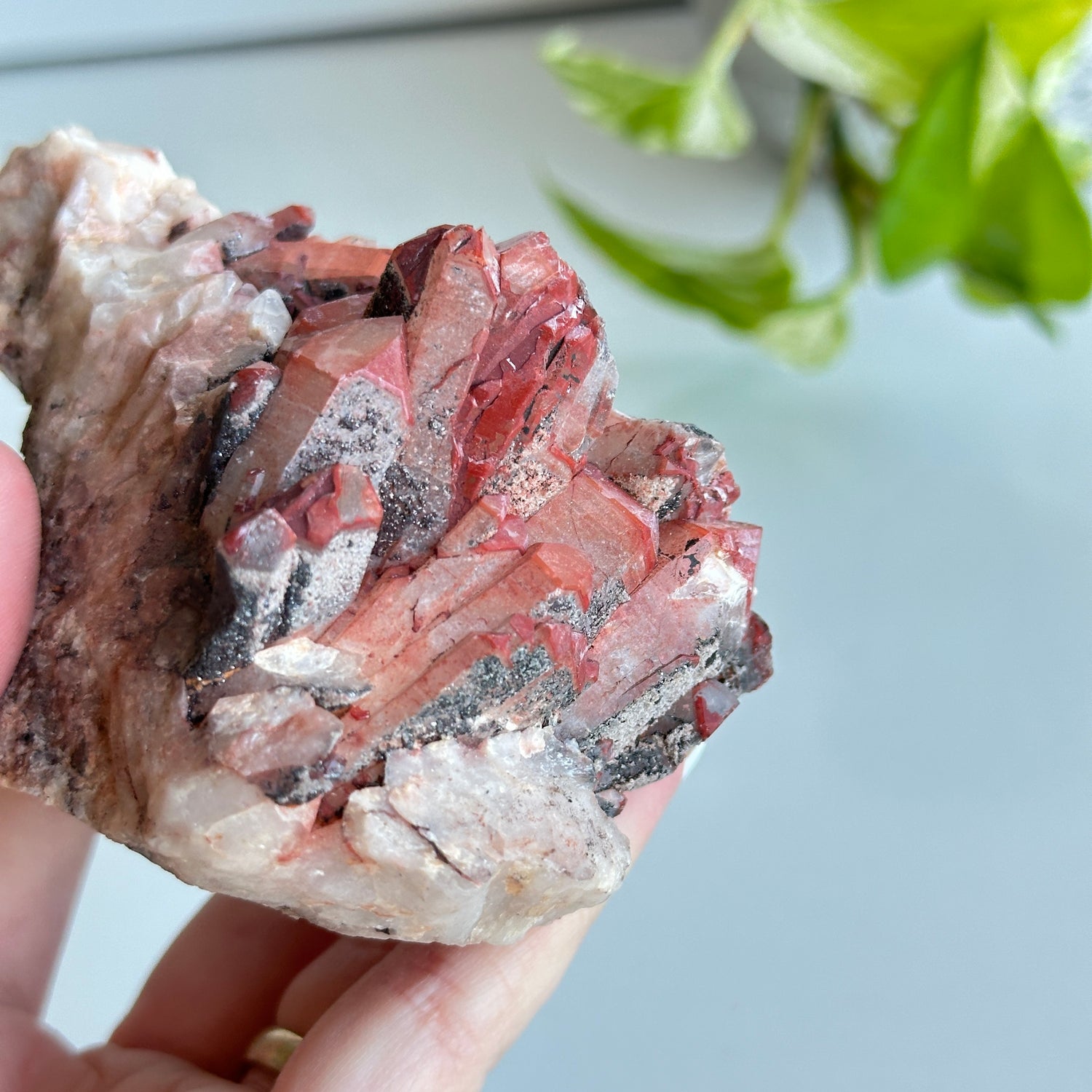 Brazilian Red Dragon Lemurian Cluster 290g