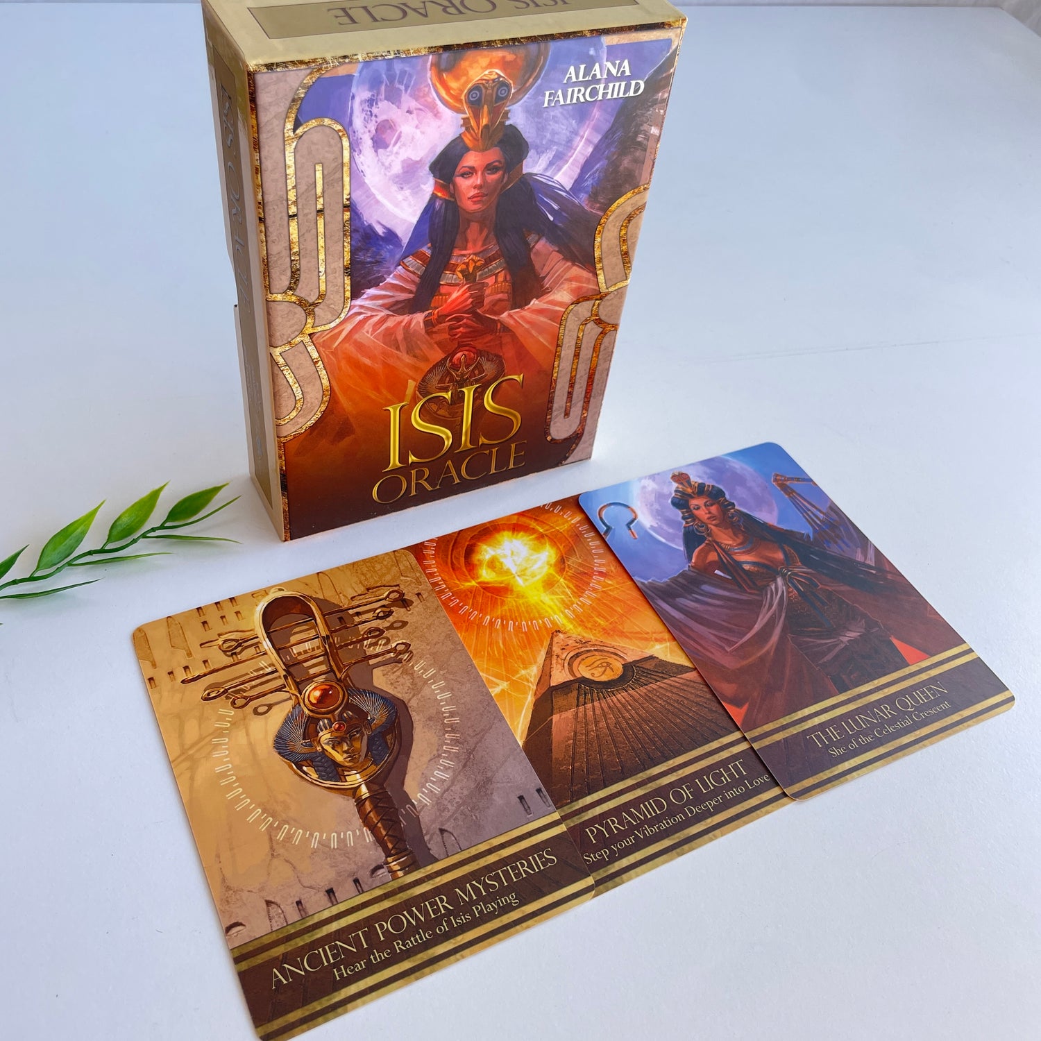 ISIS Oracle Alana Fairchild