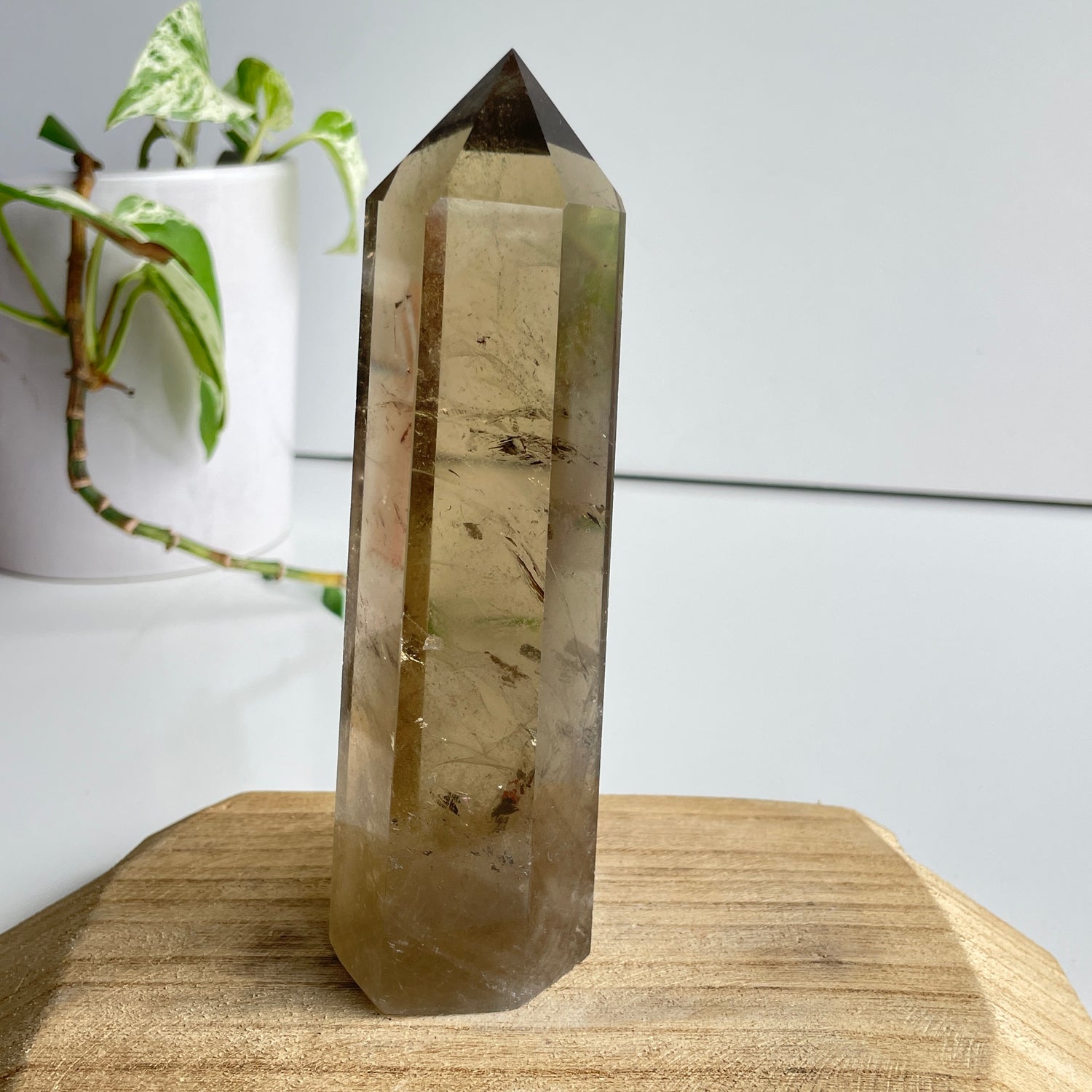 Smoky Quartz Generator 15cm