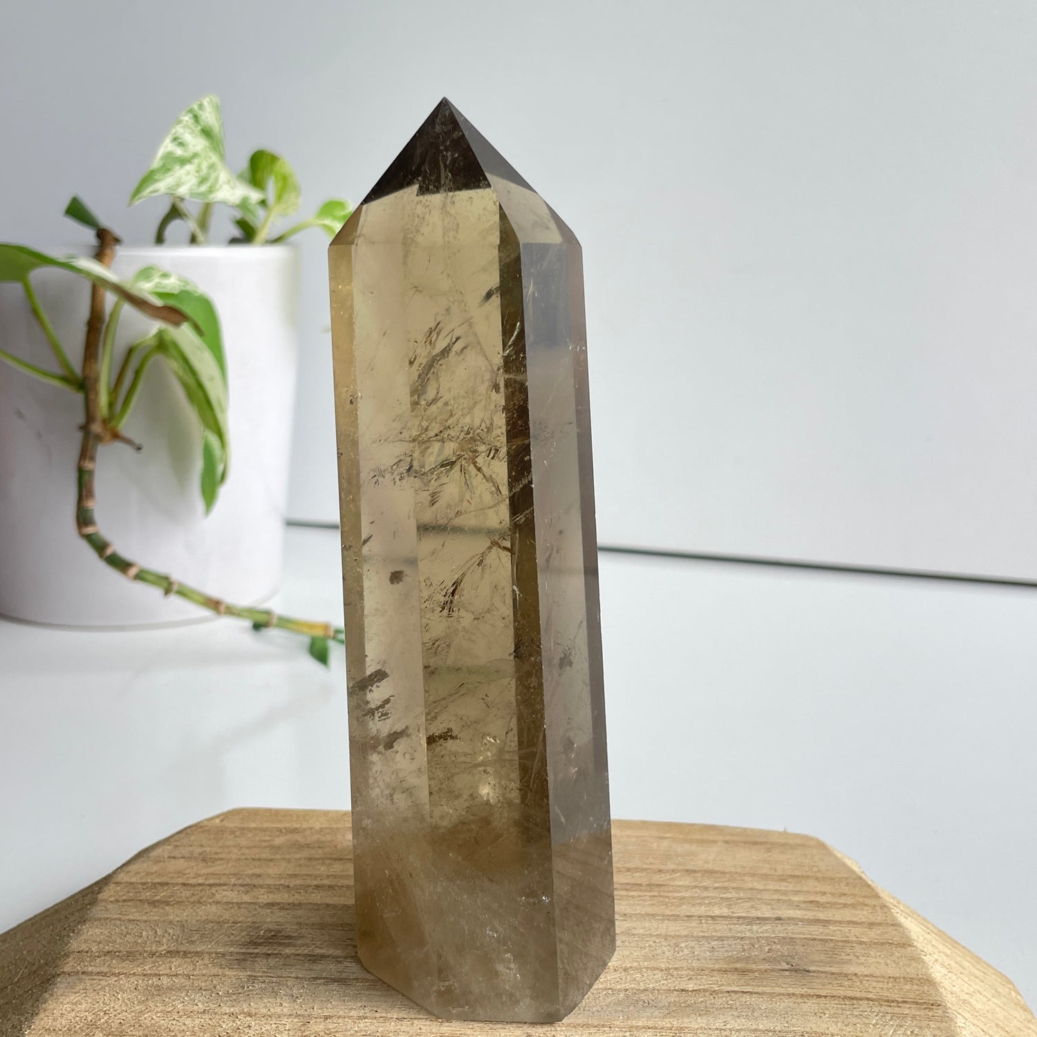 Smoky Quartz Generator 15cm