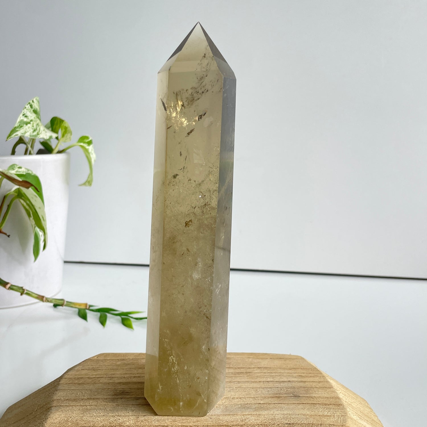 Smoky Citrine Generator 19.5cm