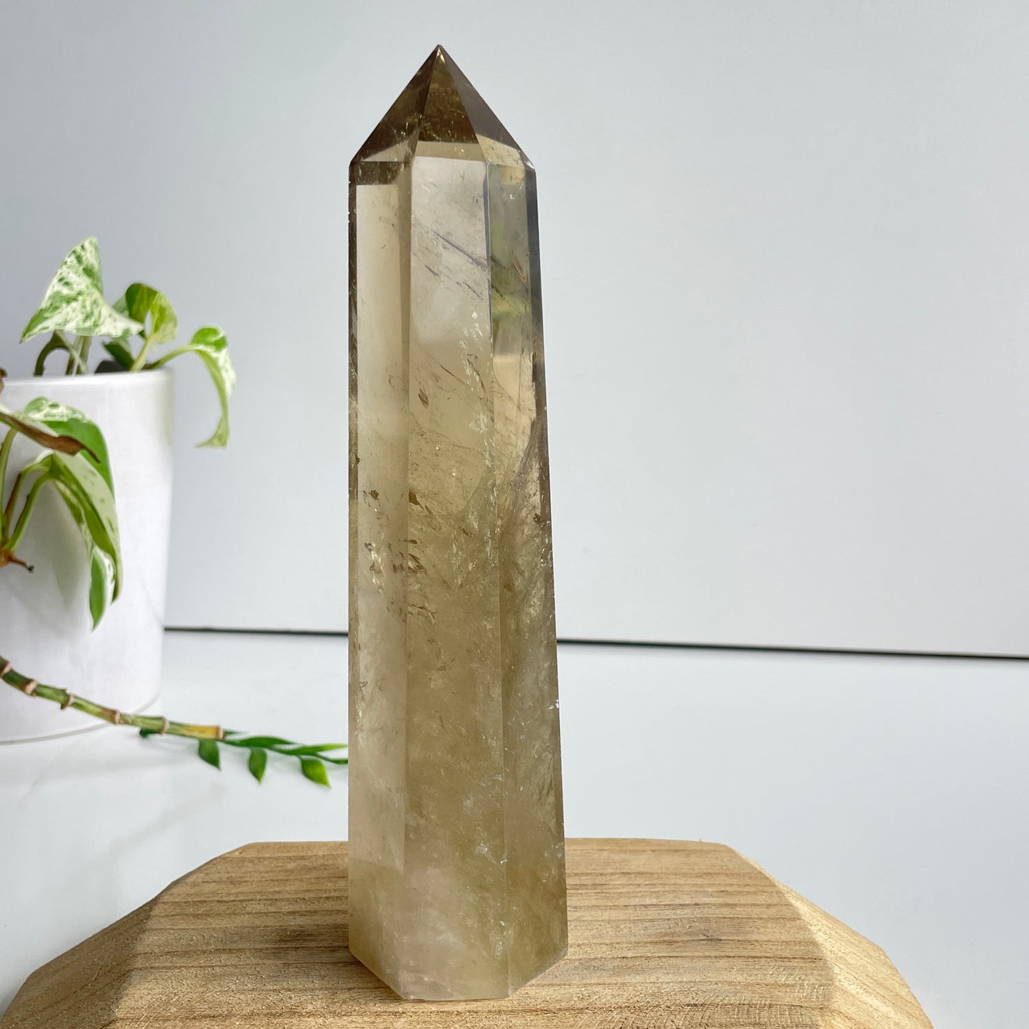 Smoky Citrine Generator 19.5cm