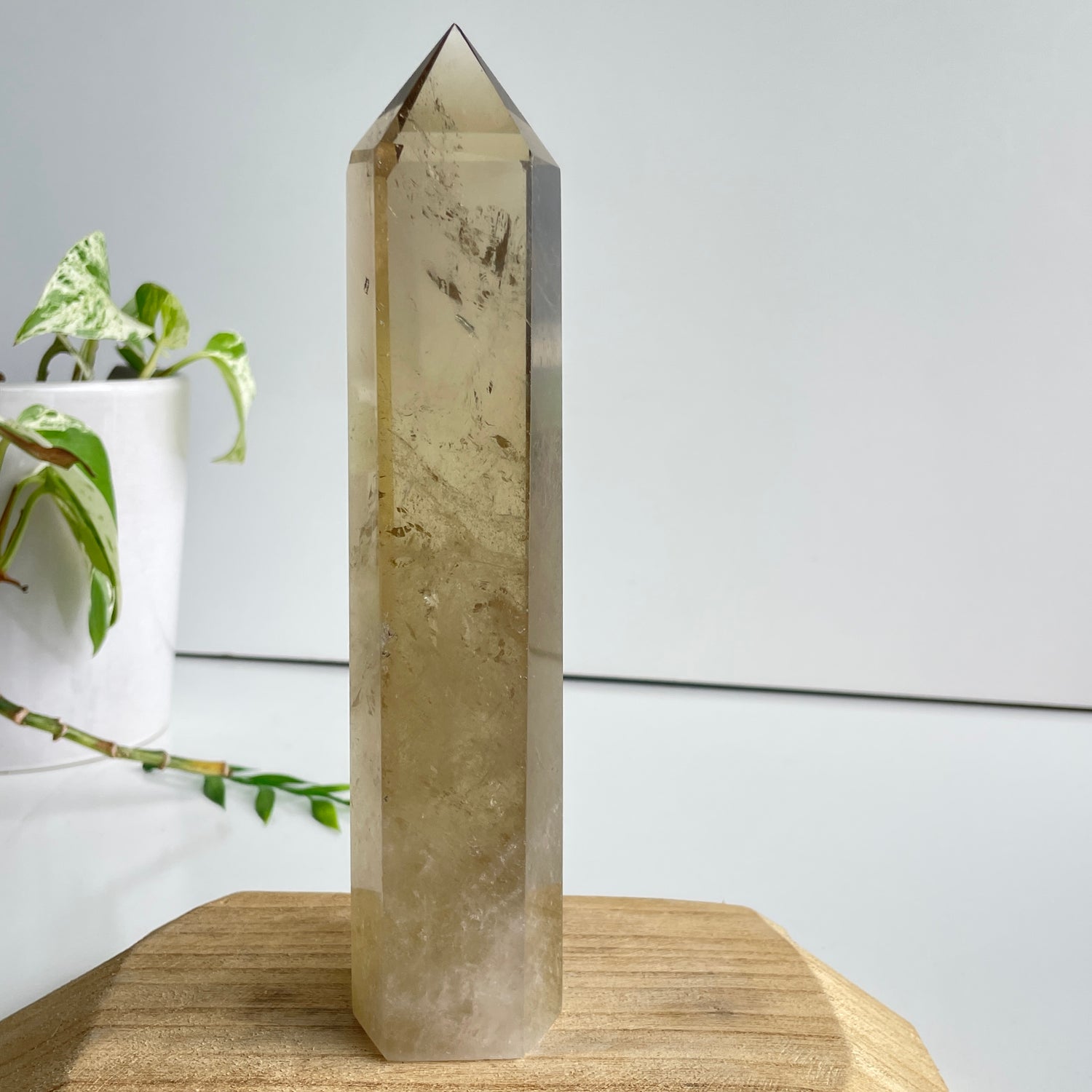 Smoky Citrine Generator 19.5cm